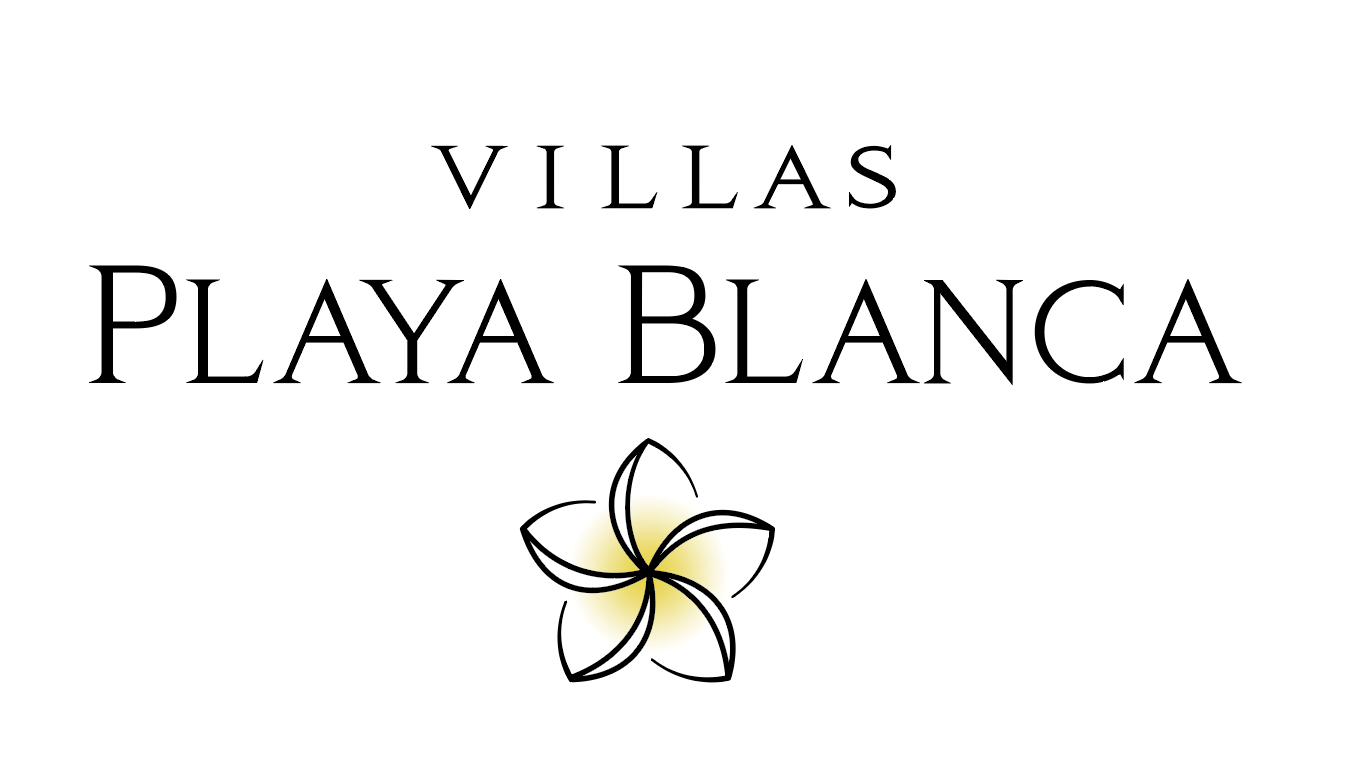 Property Development Logo for Print