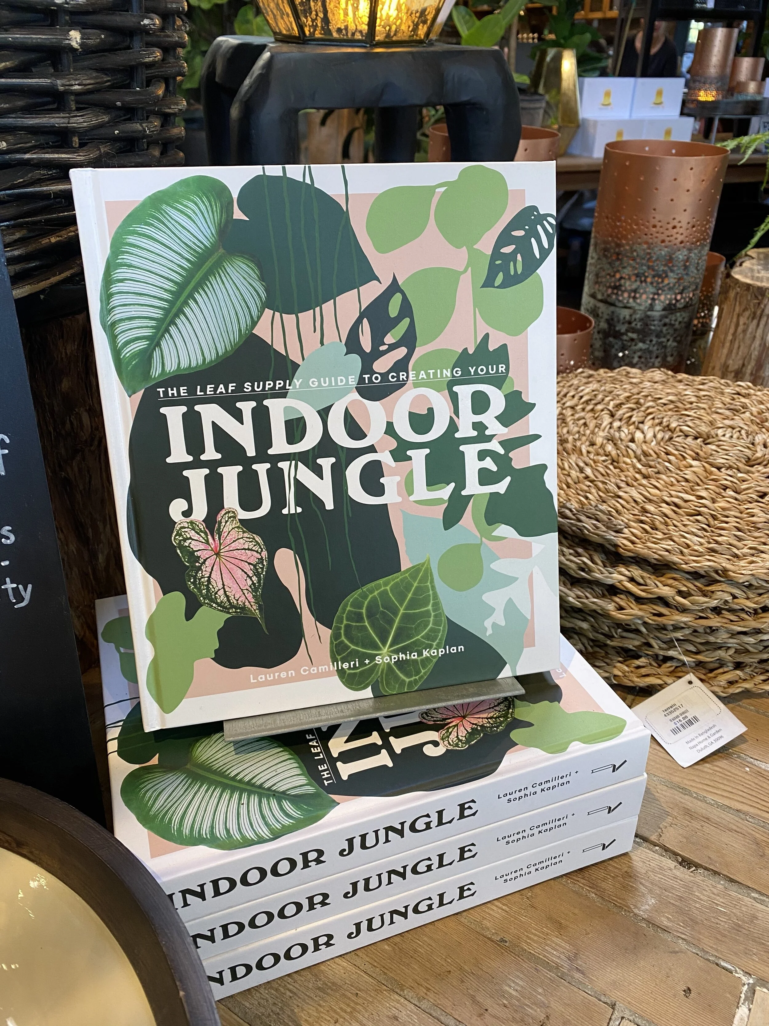 What We've Been Cooking