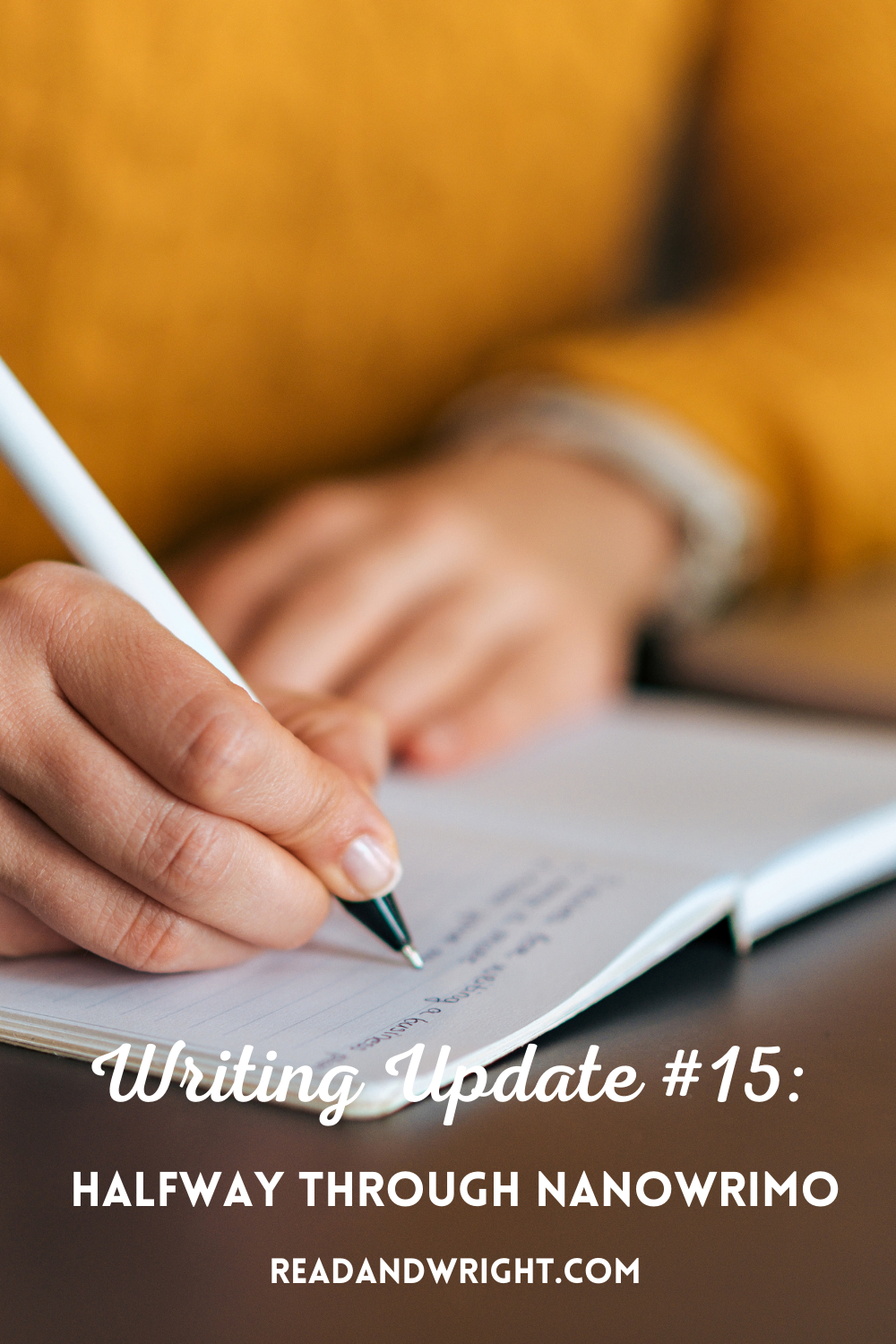 Writing Update #15: Halfway Through NaNoWriMo