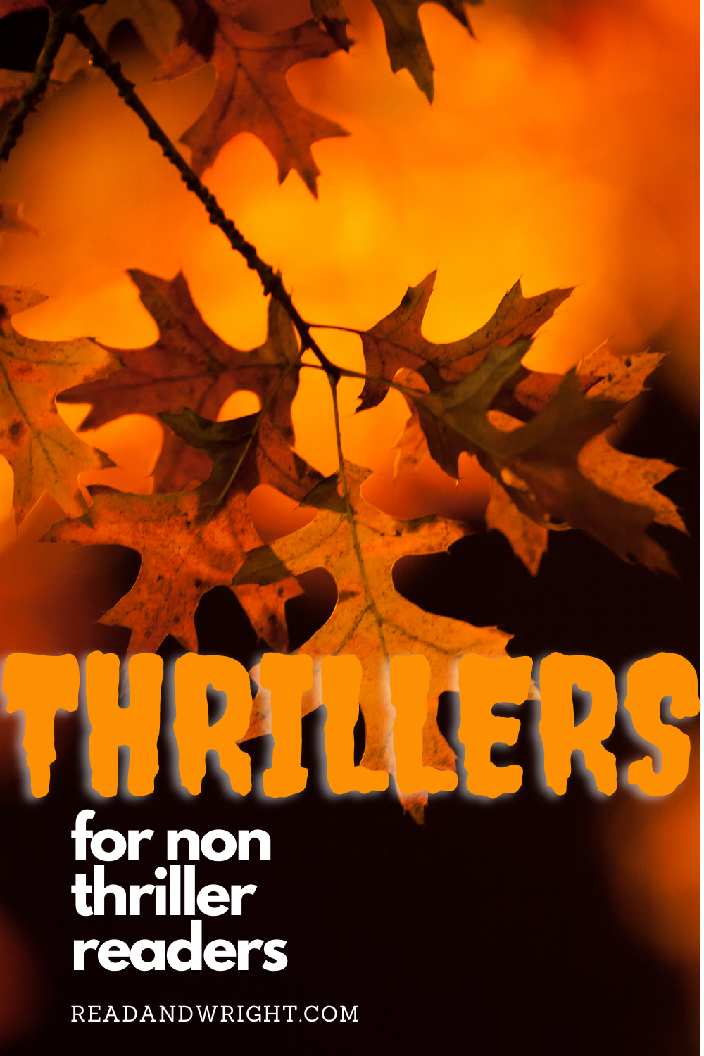 Thrillers for Non Thriller Readers