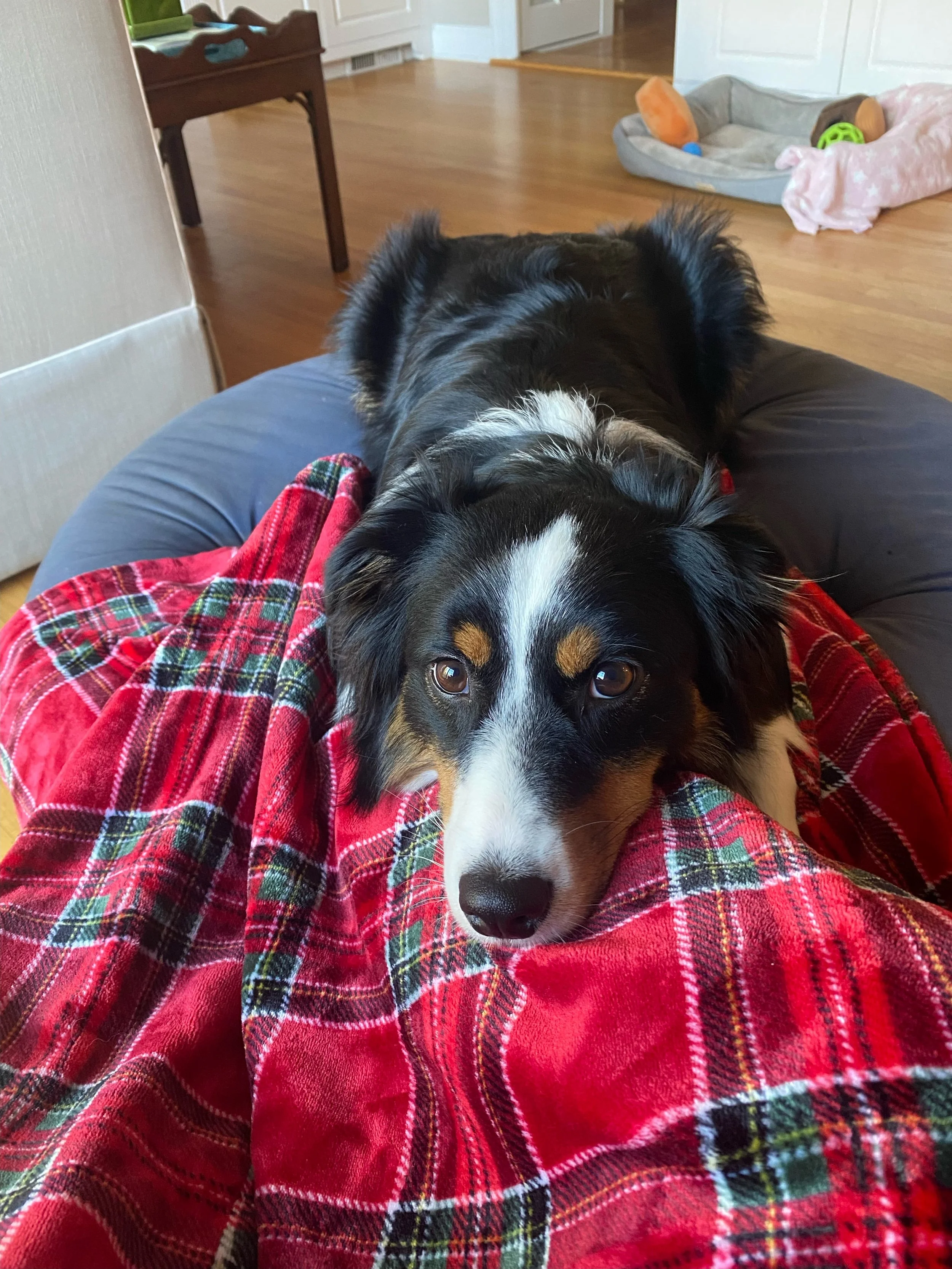 Weekly Wrap Up 11/18/22