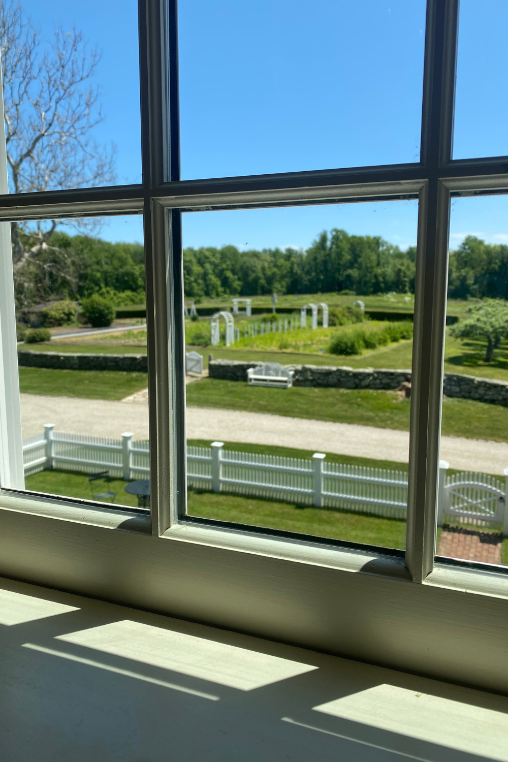 Weekly Wrap Up 6/2/23