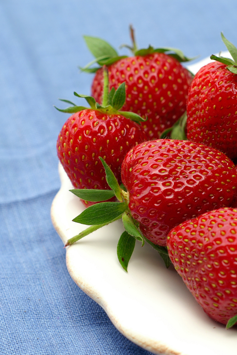 June Bucket List Check In