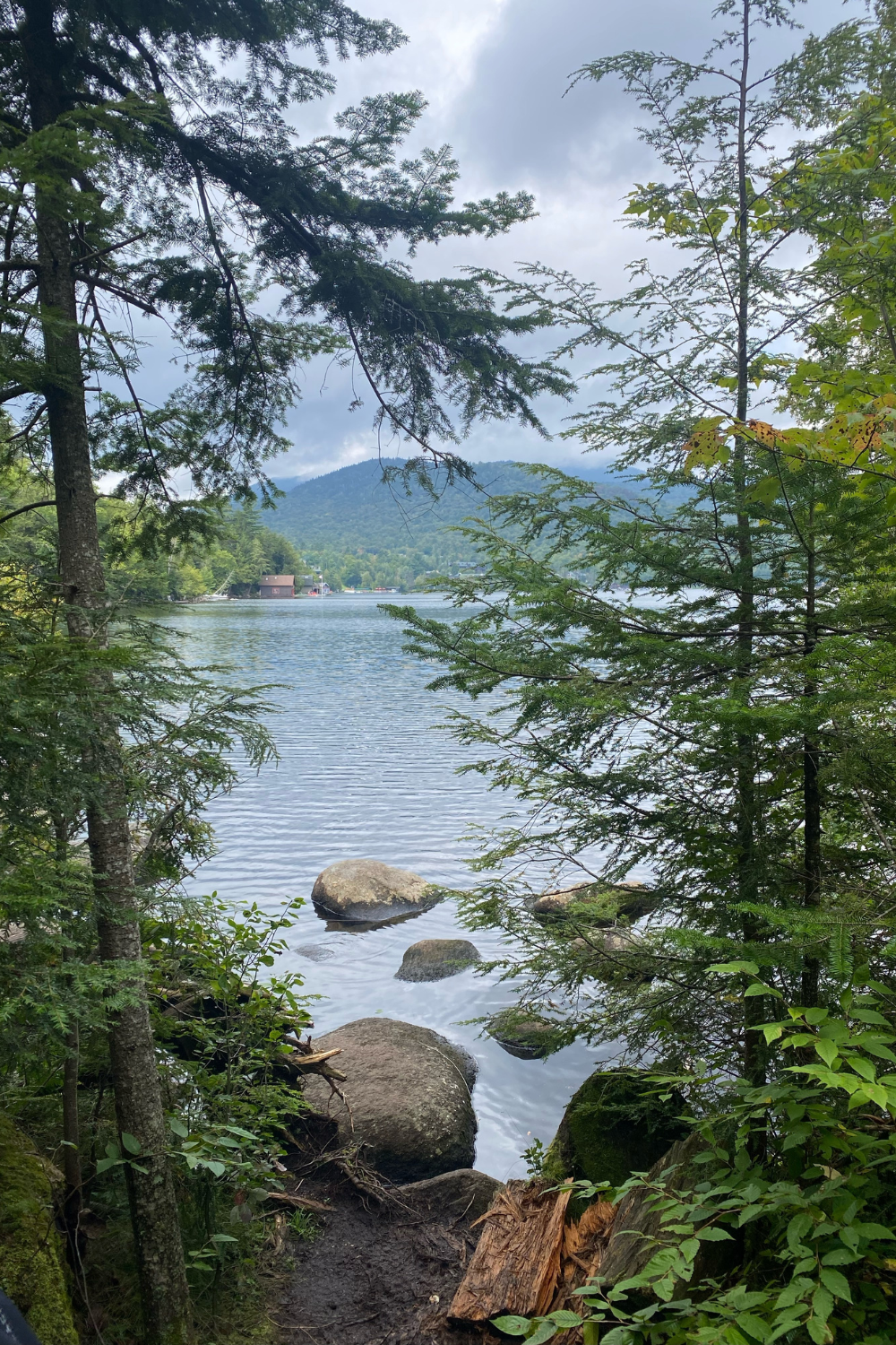 An Update on my Summer Bucket + Reading Lists