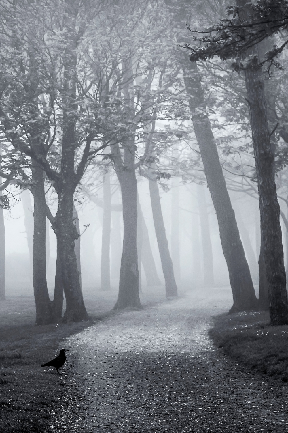 Thrilling Books for Non-Thriller Readers