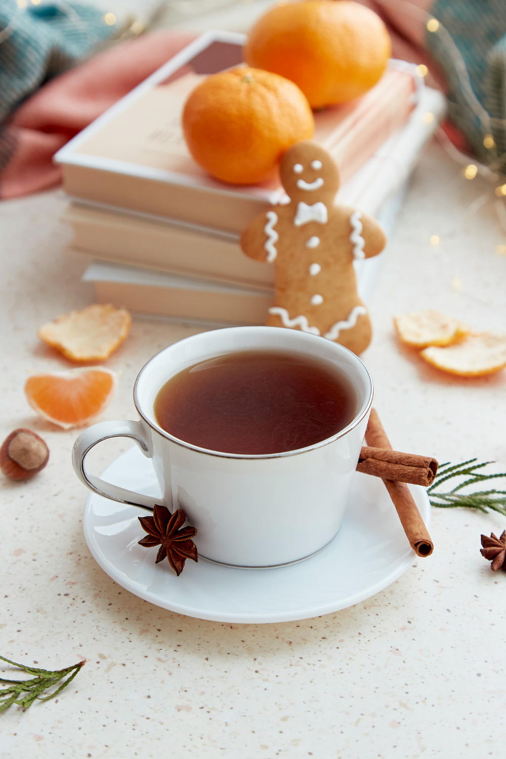 12 Festive Books that Aren't Romance Novels