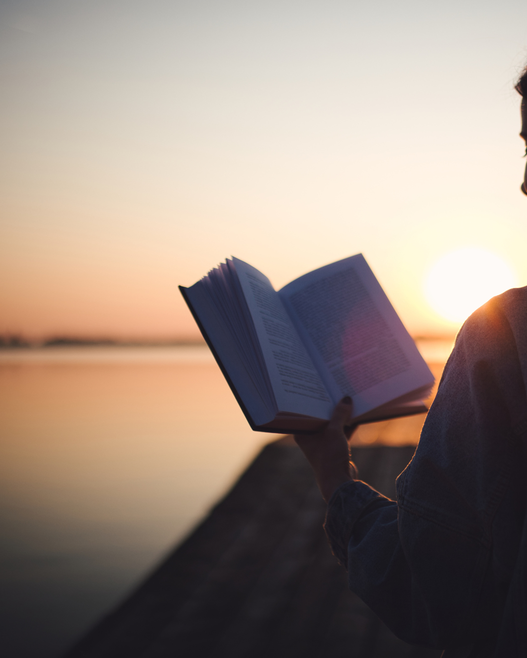 2024 Summer Reading Guide: New Releases