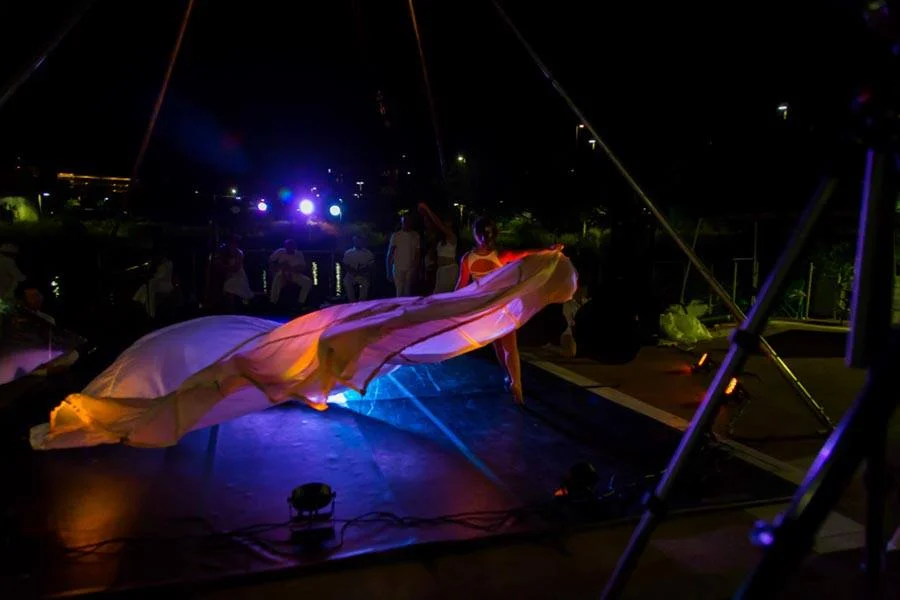 Review: Flight of Swallows offers a truly novel, improvisational performance experience