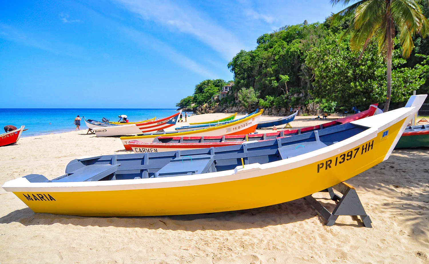 CRASH BOAT
