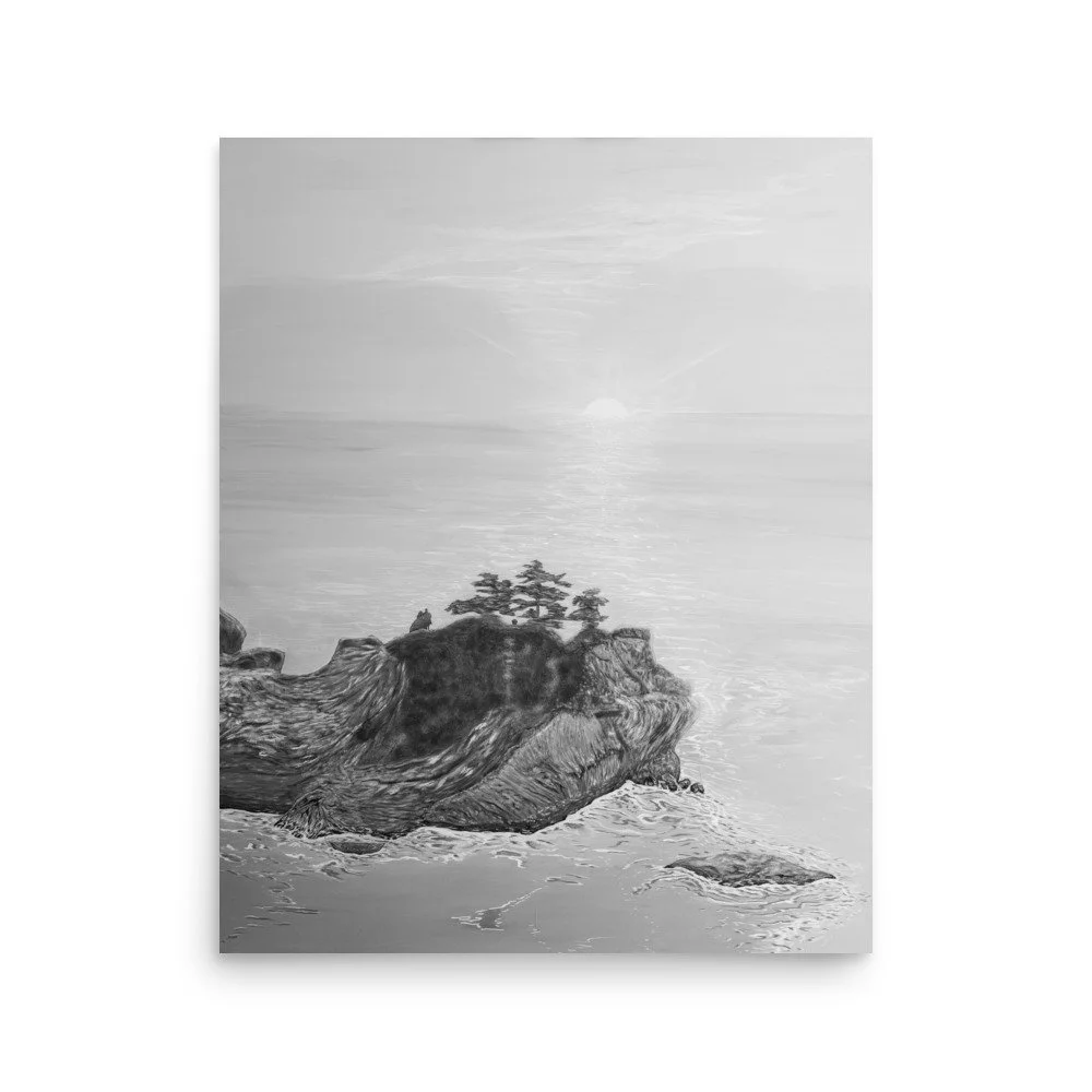 enhanced-matte-paper-poster-(in)-16x20-front-6ae111146c649.jpg