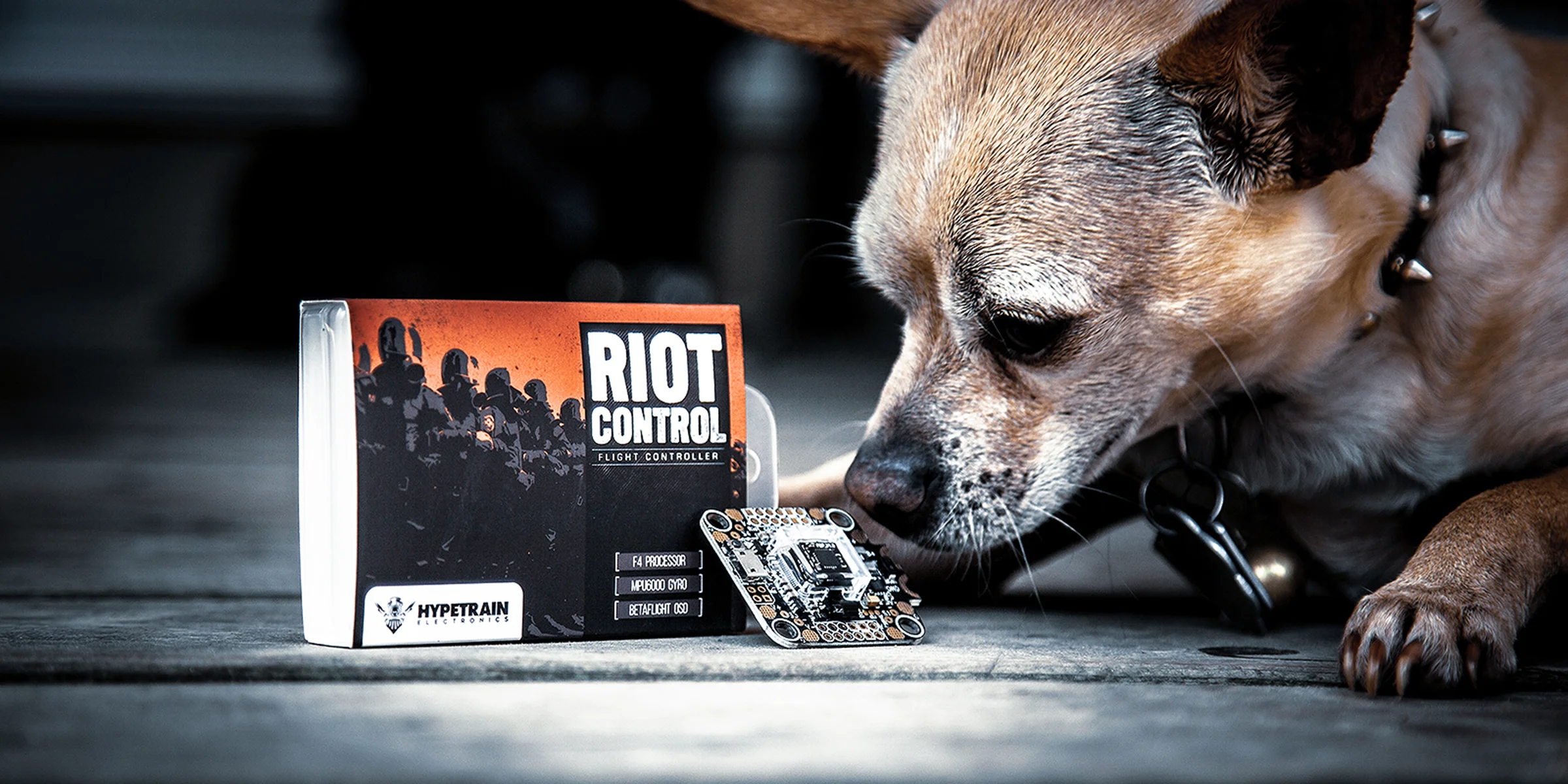 riot control.jpg