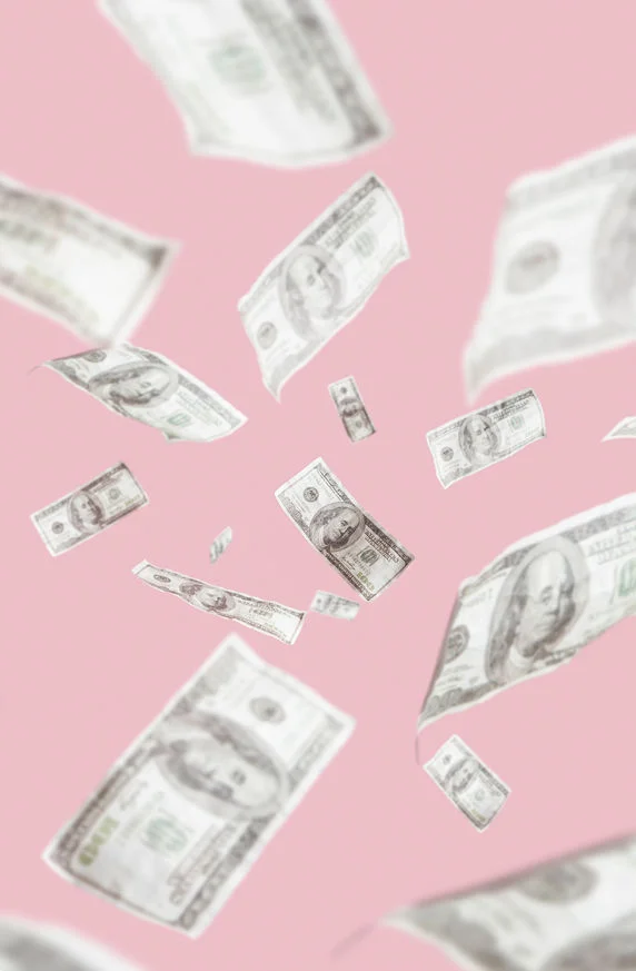 THE COST OF FERTILITY