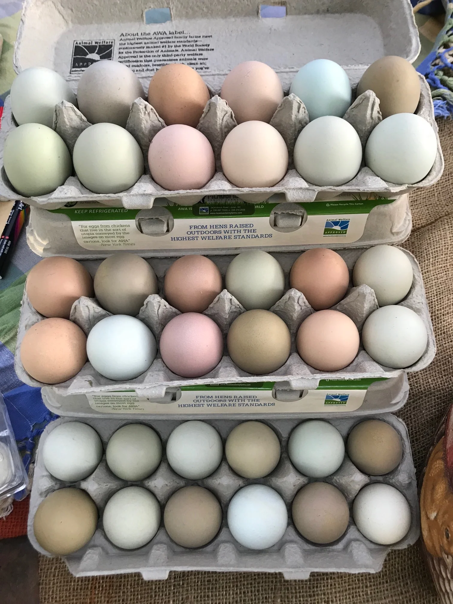 EggStack.jpg