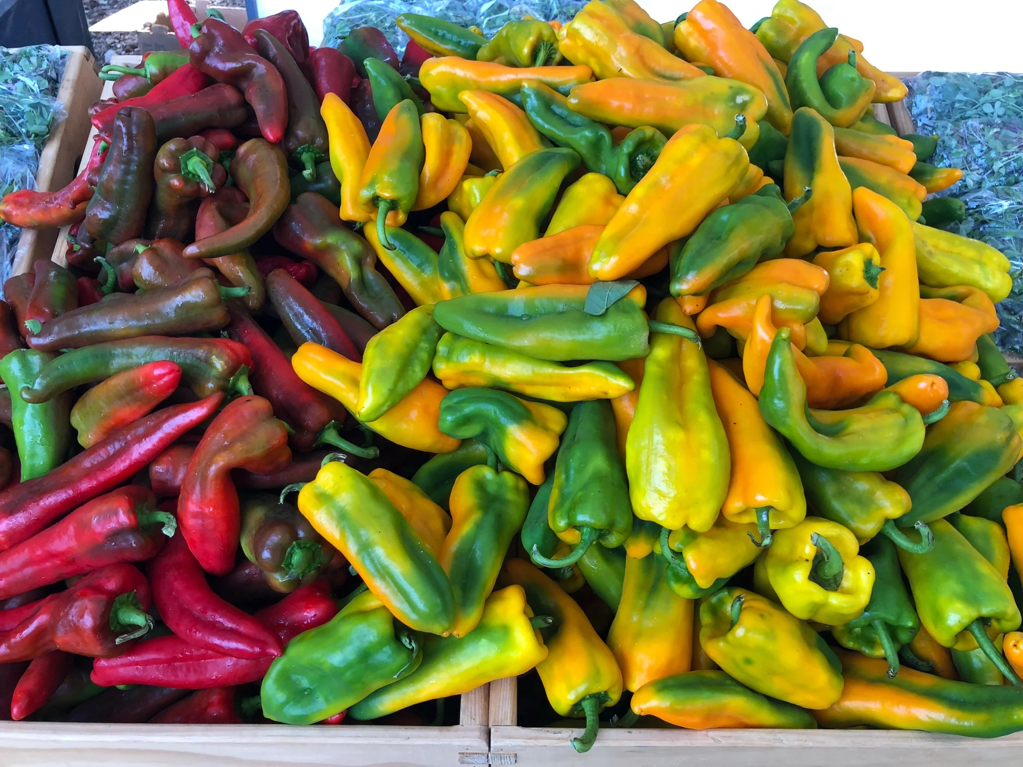 Peppers.jpg