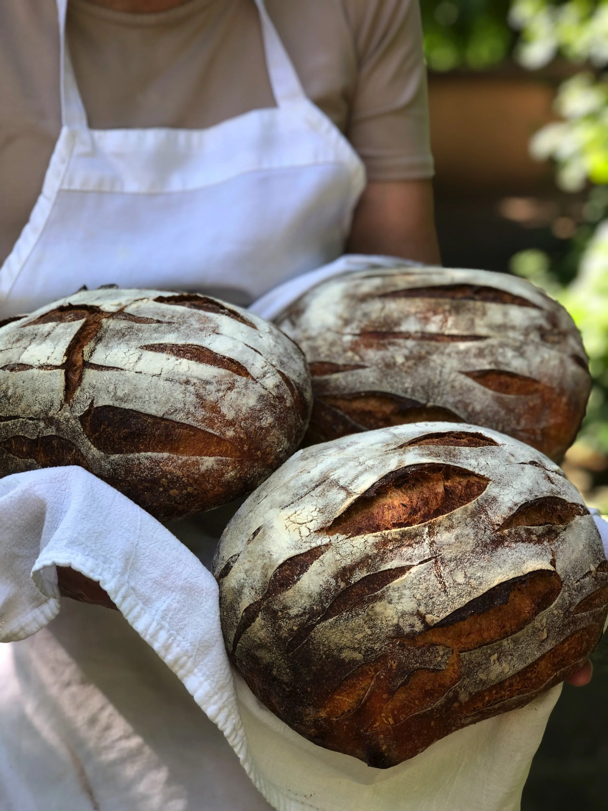 Wednesday Weekday Market Now-July 24