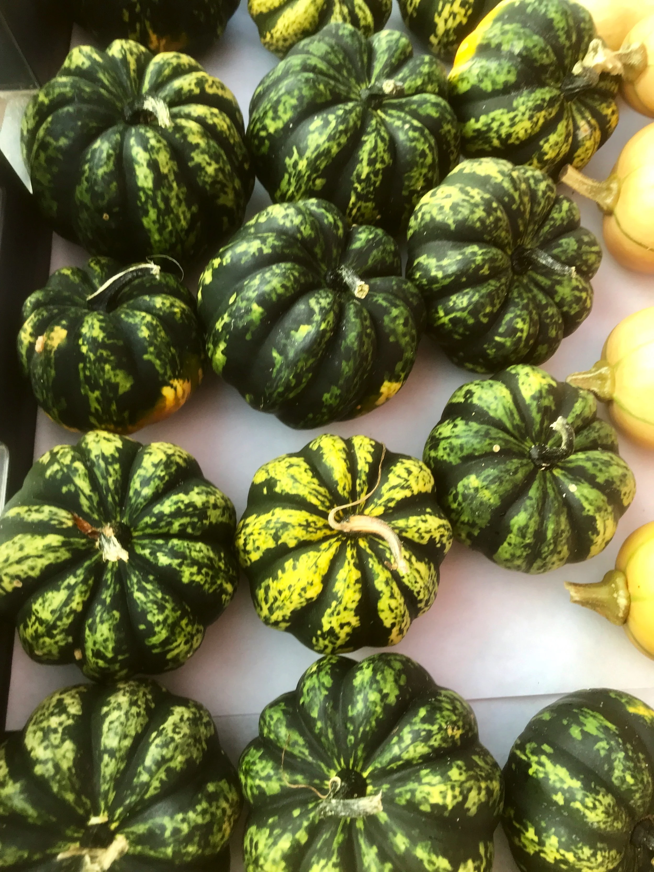 Your Year Round Market