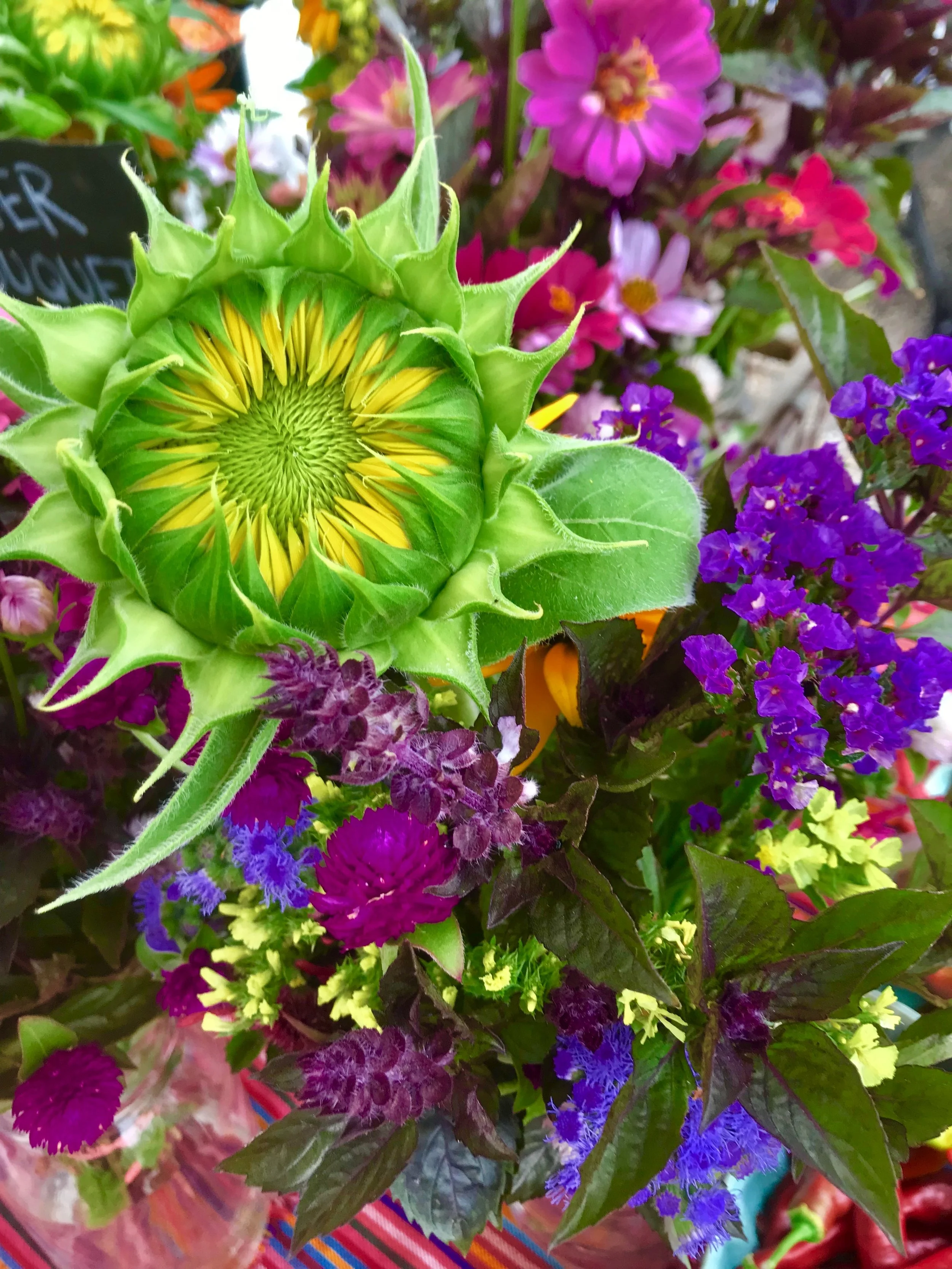 Your Source for Sustainable Food &amp; FLOWERS