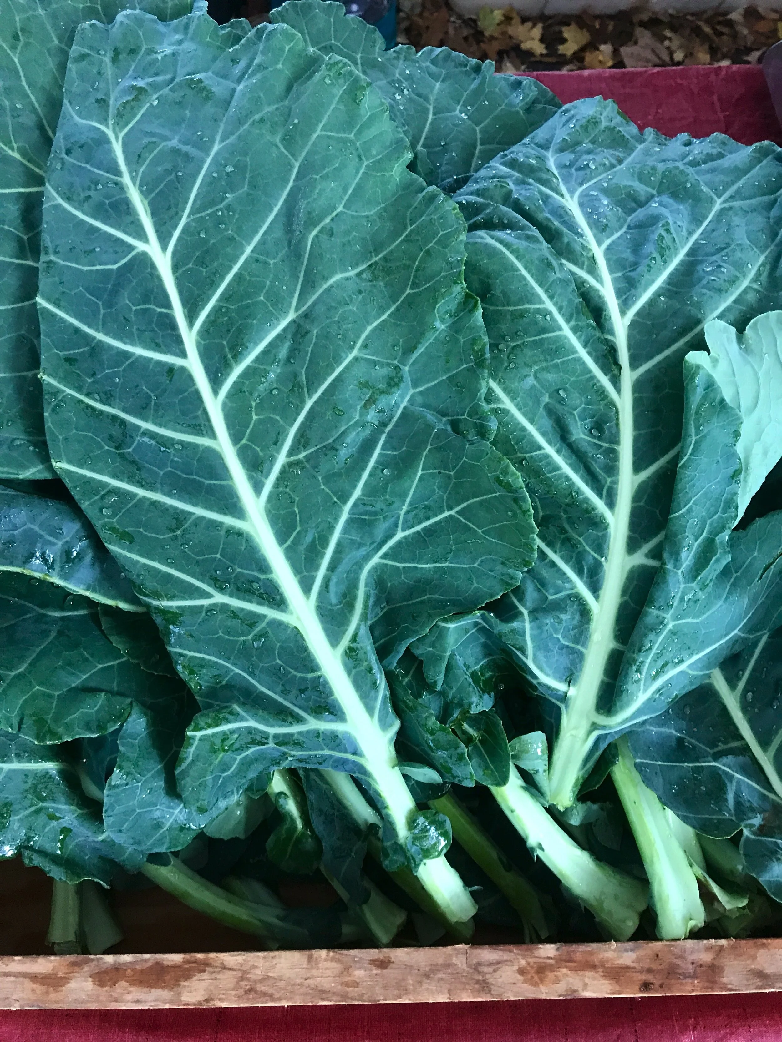 Collards, Potlikker and Biodegradable