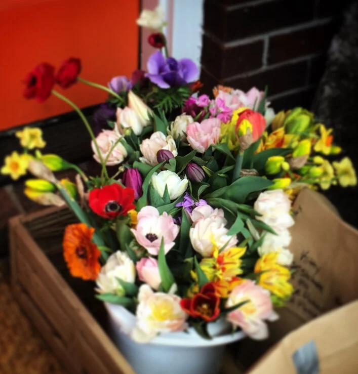 Saturday, April 3 // Official 'Opening Day' of Cobblestone’s Outdoor Market Season