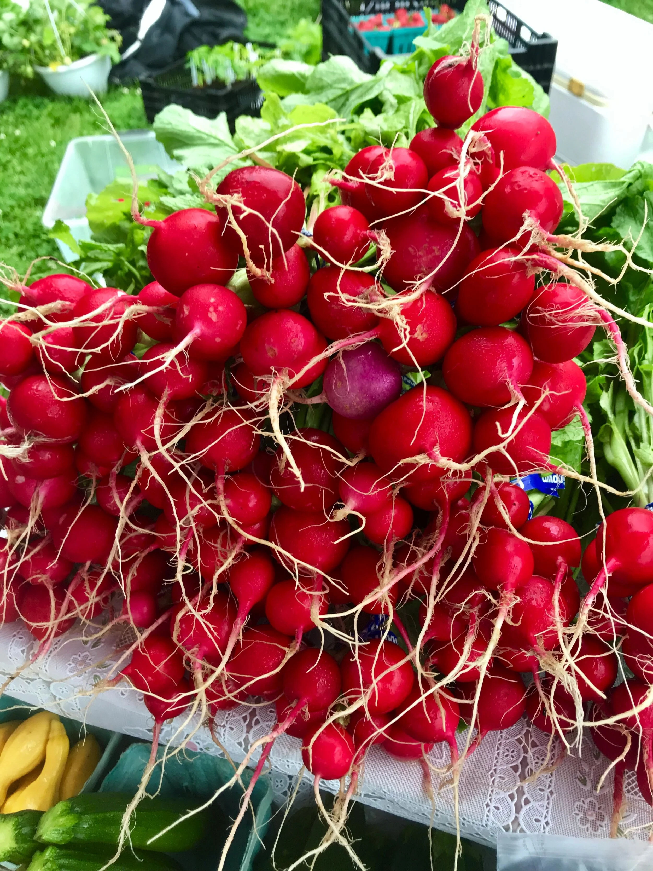 Saturday, April 25 // DRIVE-THRU or MASK UP at Market