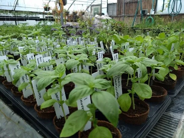 Saturday, May 2 // Reflections: As We Turn to May