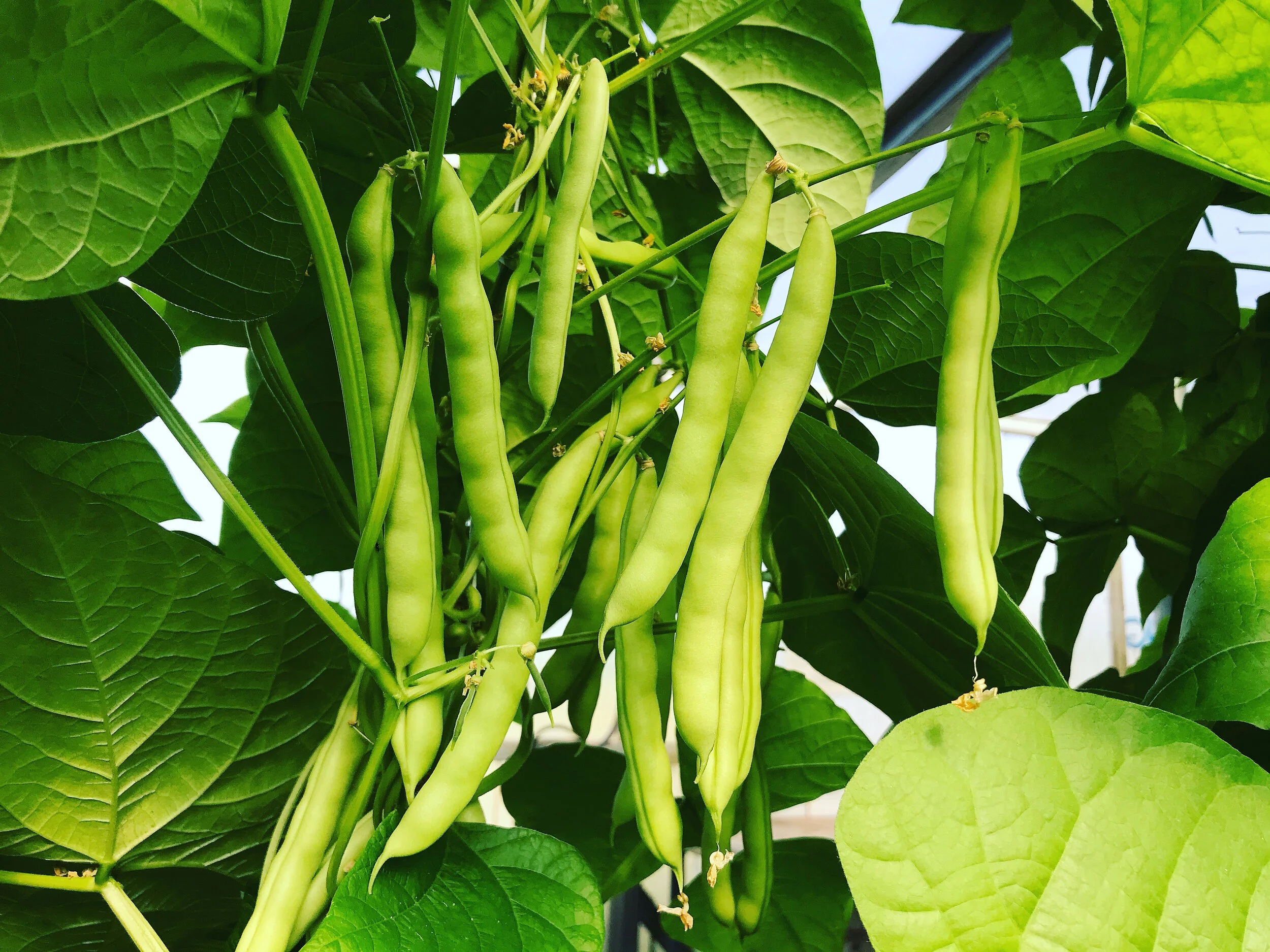 Wednesday, May 13 // We're Headed BACK to Spring...