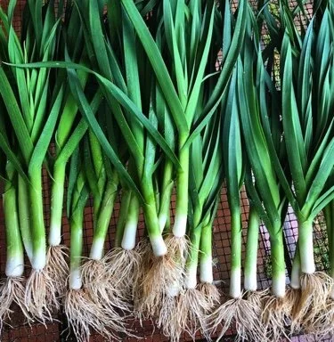 Wednesday, May 20 // The BEST Kept Secret