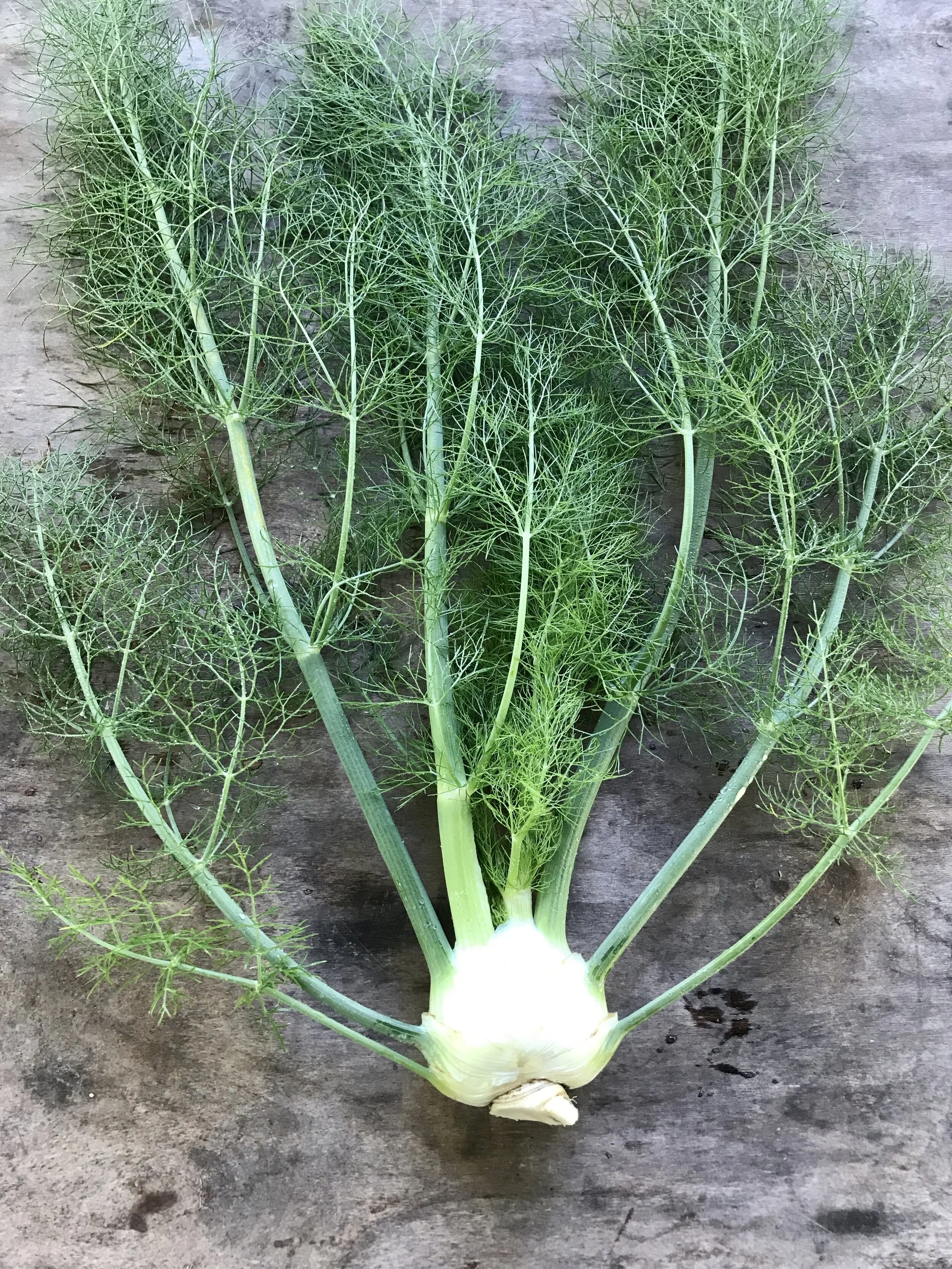 Wednesday, May 27 //  Spring Into Action