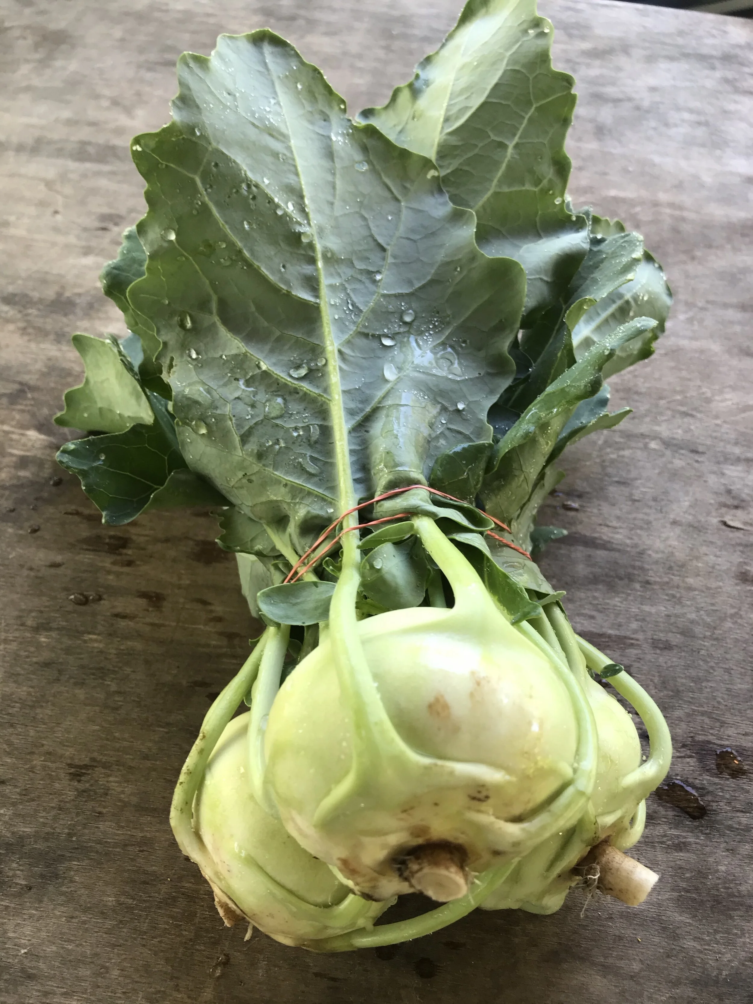 Saturday, May 30 // Jumping for JOY