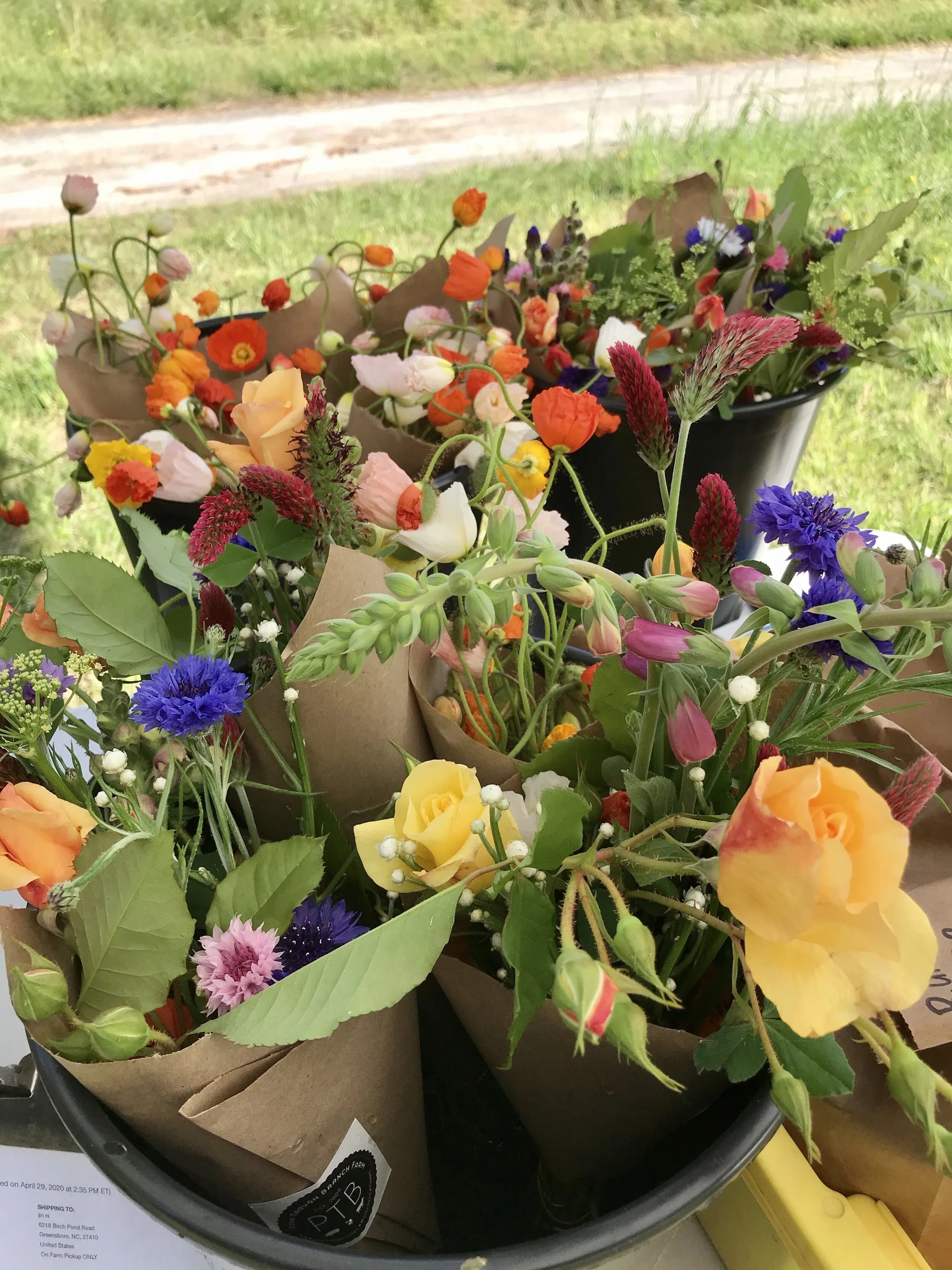 Wednesday, June 3 // June is Here