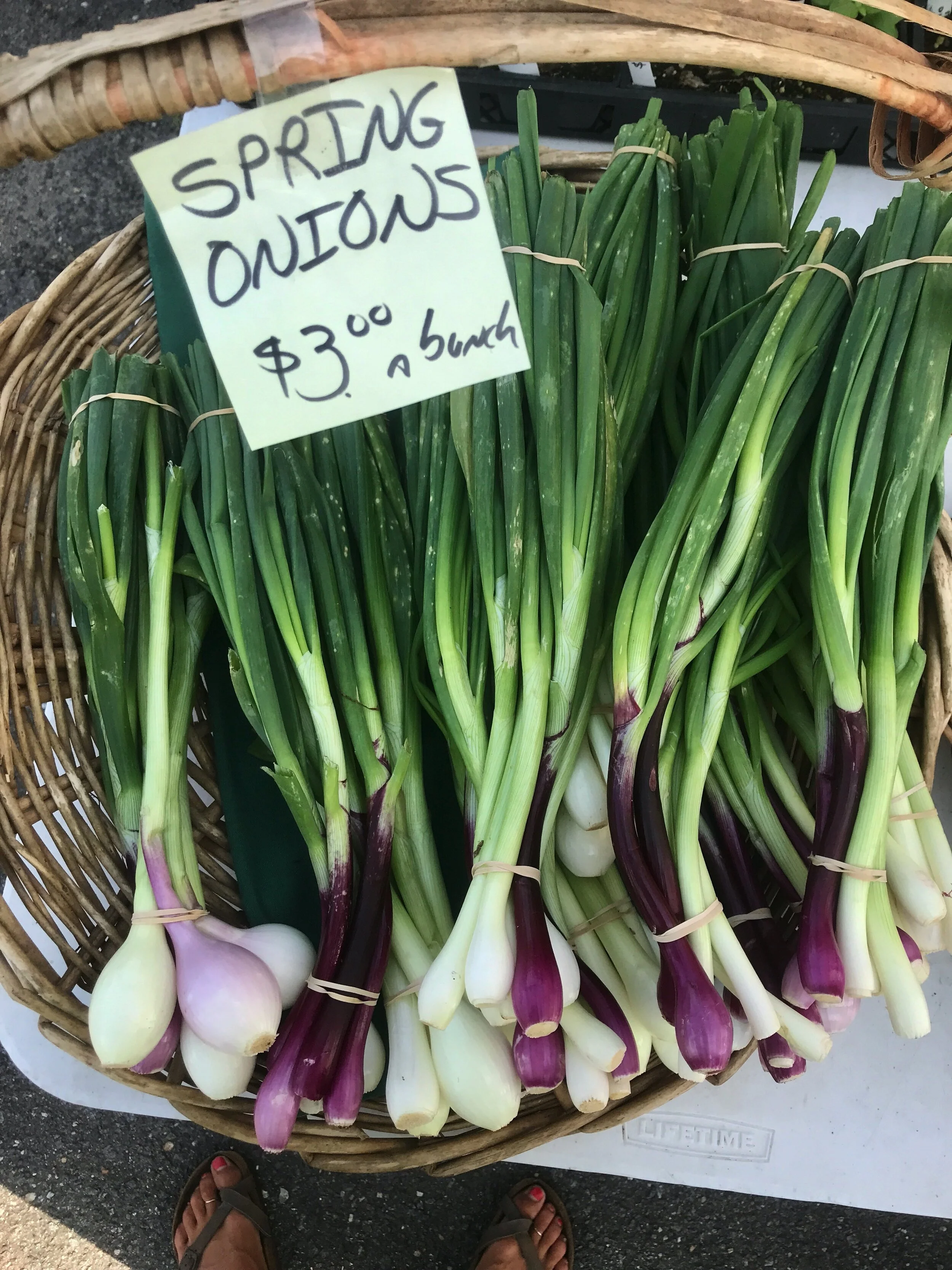 Saturday, June 13 // Herbs &amp; Alliums Abound