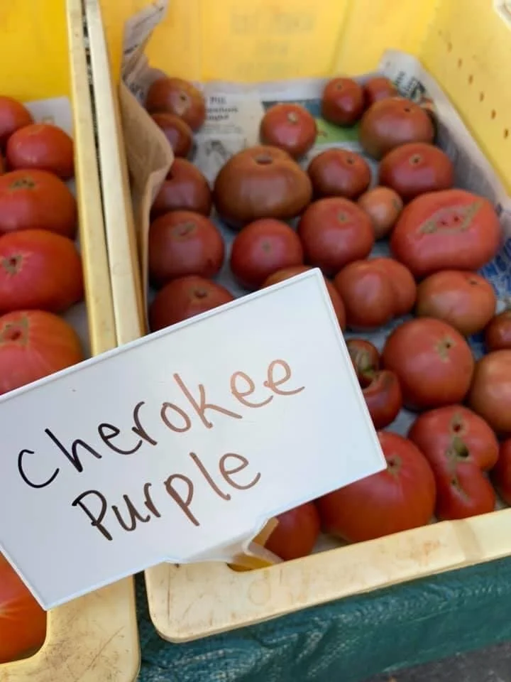 Wednesday, June 17 // Safe &amp; Easy