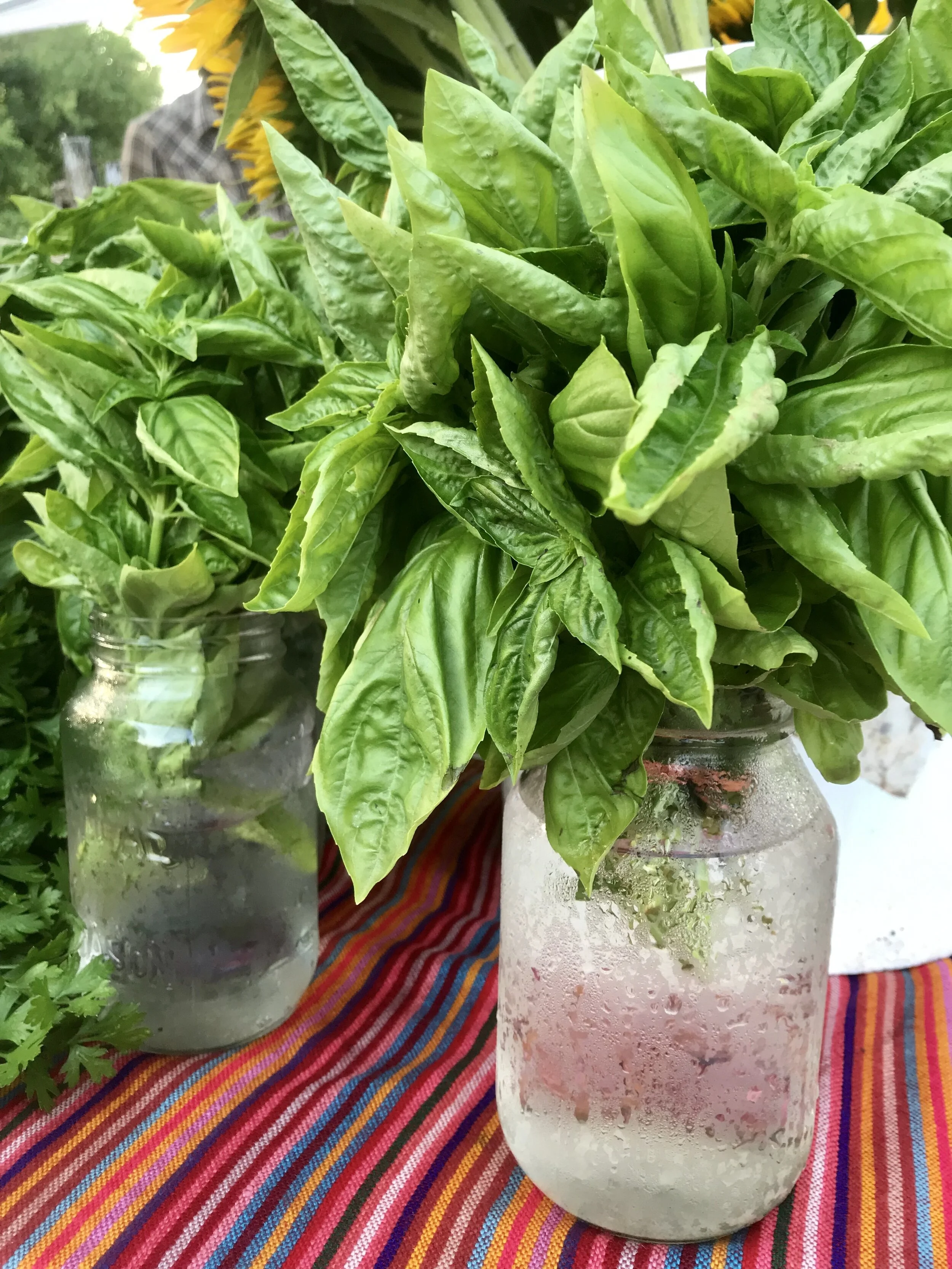 Wednesday, June 22 // IT'S SUMMER