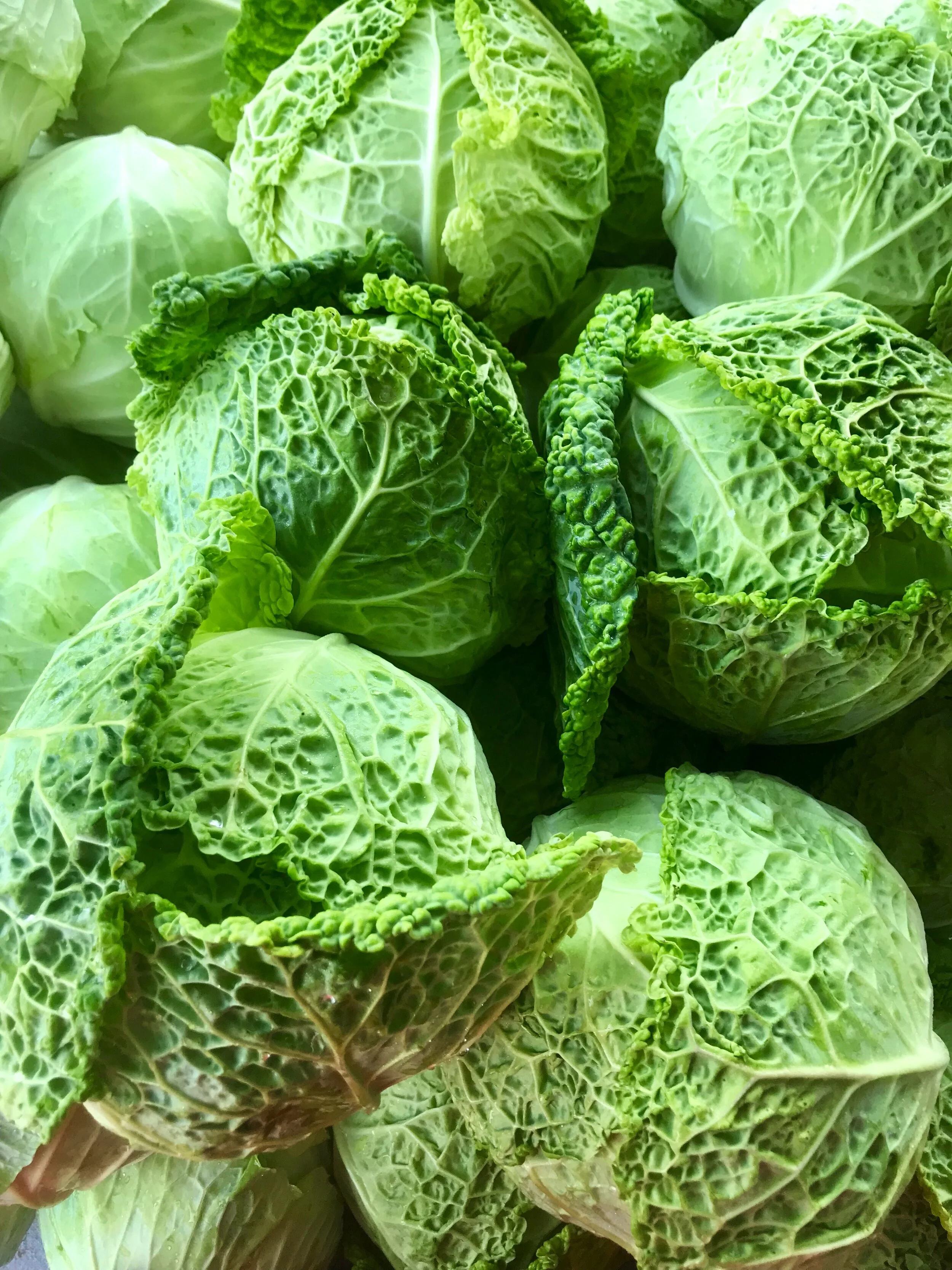 Wednesday, July 1 // Summer Bounty