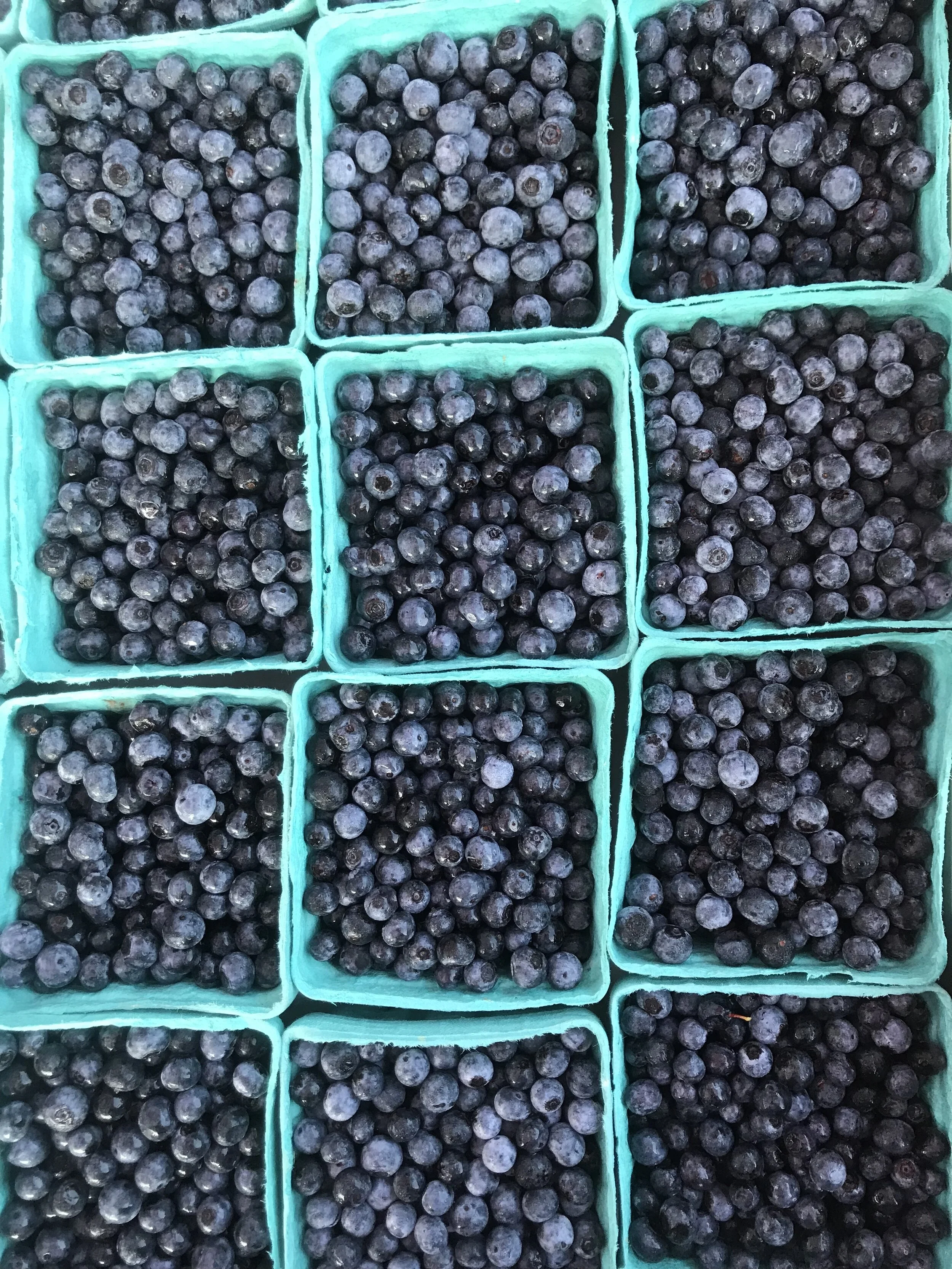 July 4 // YES! We're Open!