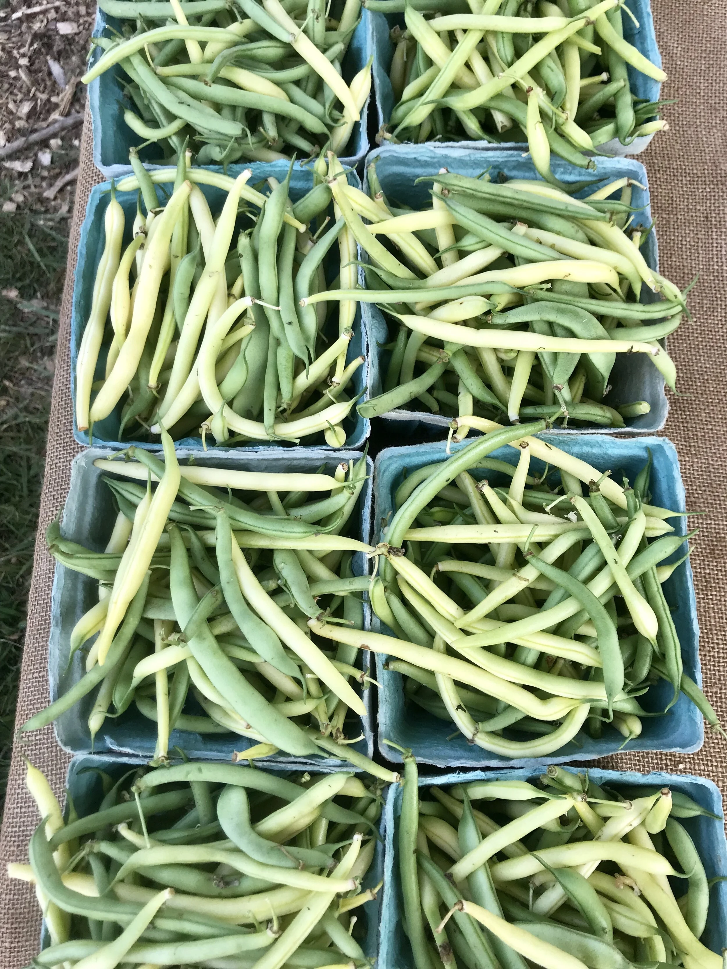 Saturday, July 11 // Market Haul How Tos