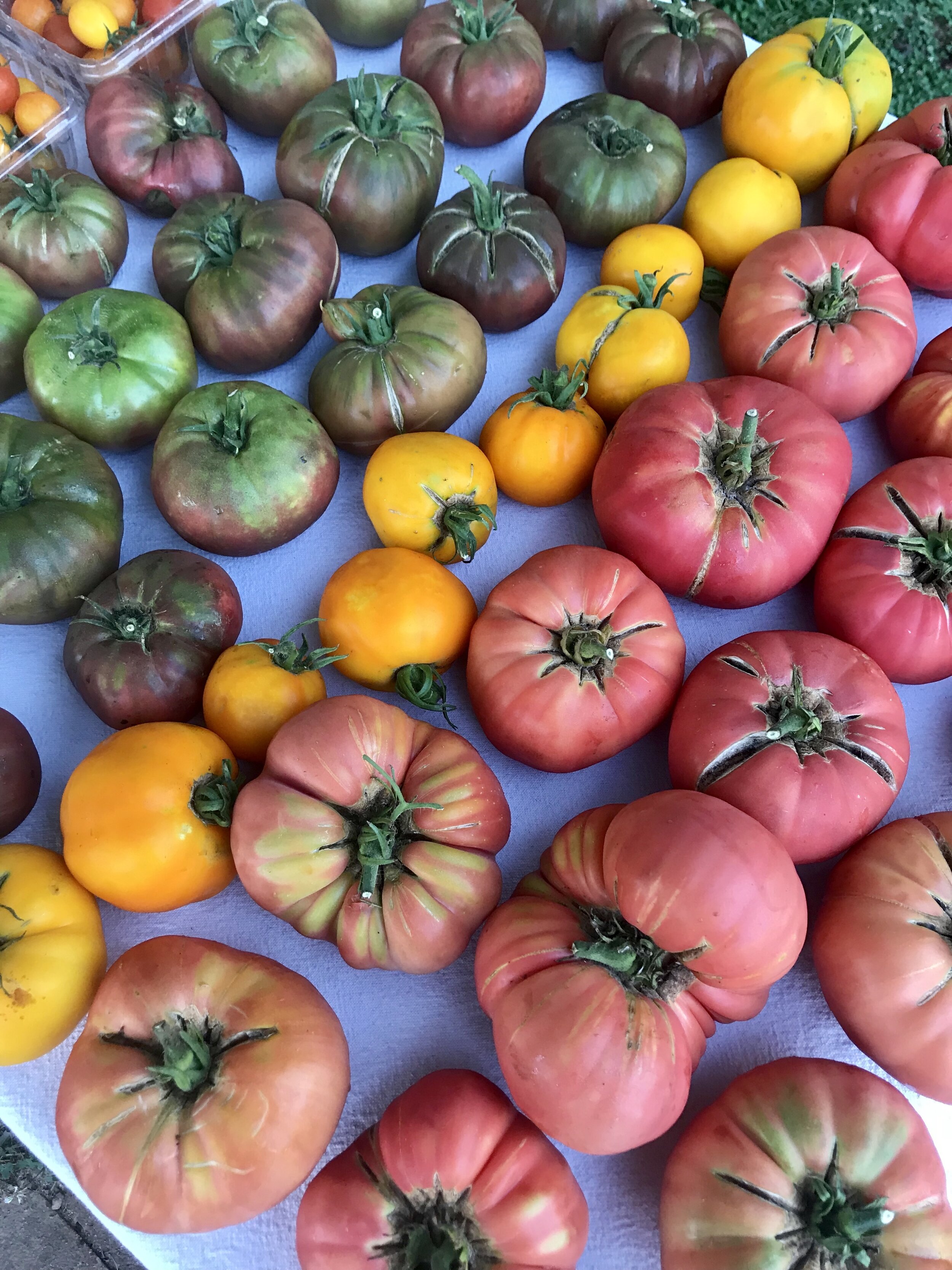 Wednesday, July 22 // Riding the Heat Wave