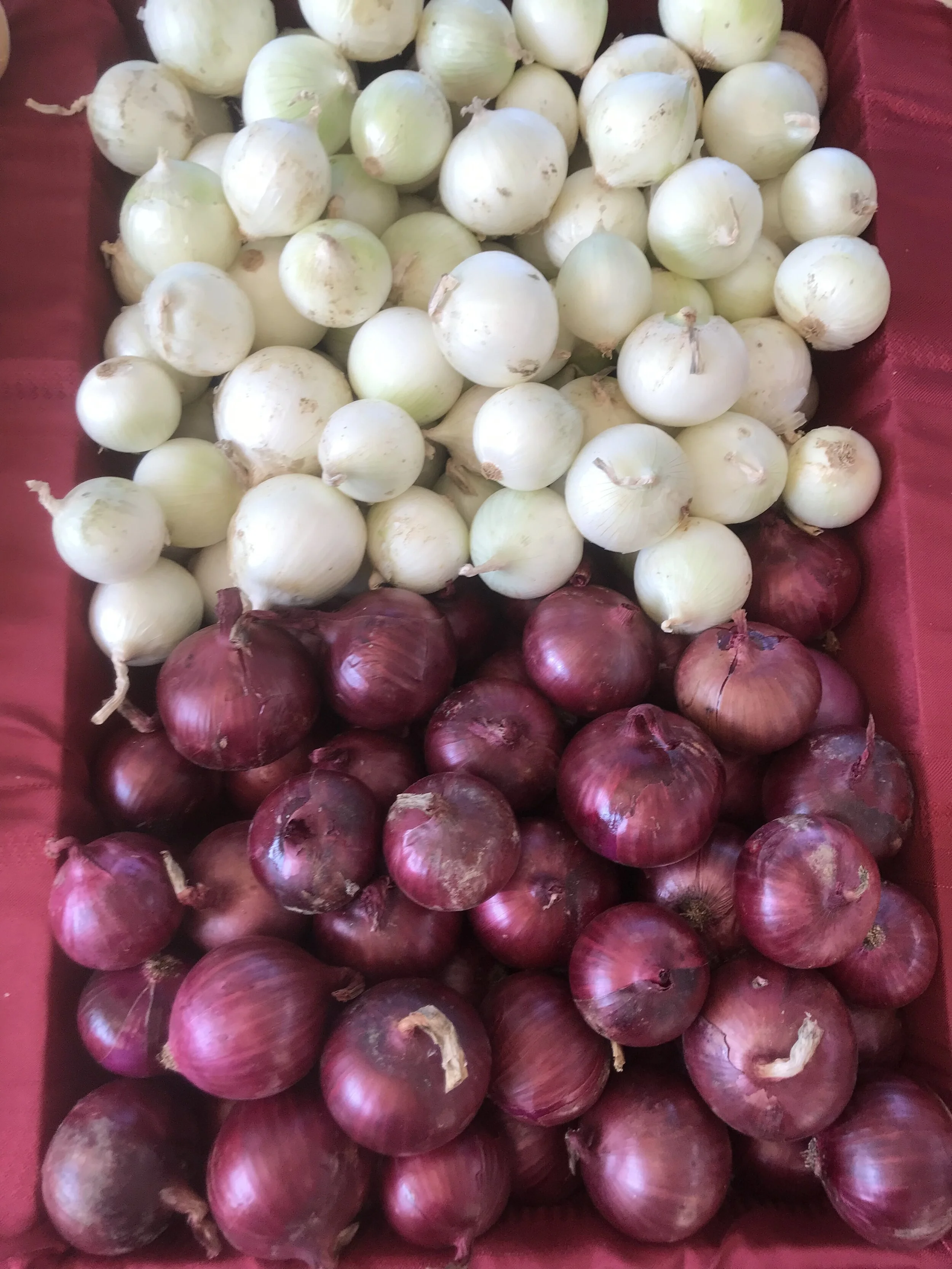 Saturday, July 25 // CUSTOMER SURVEY