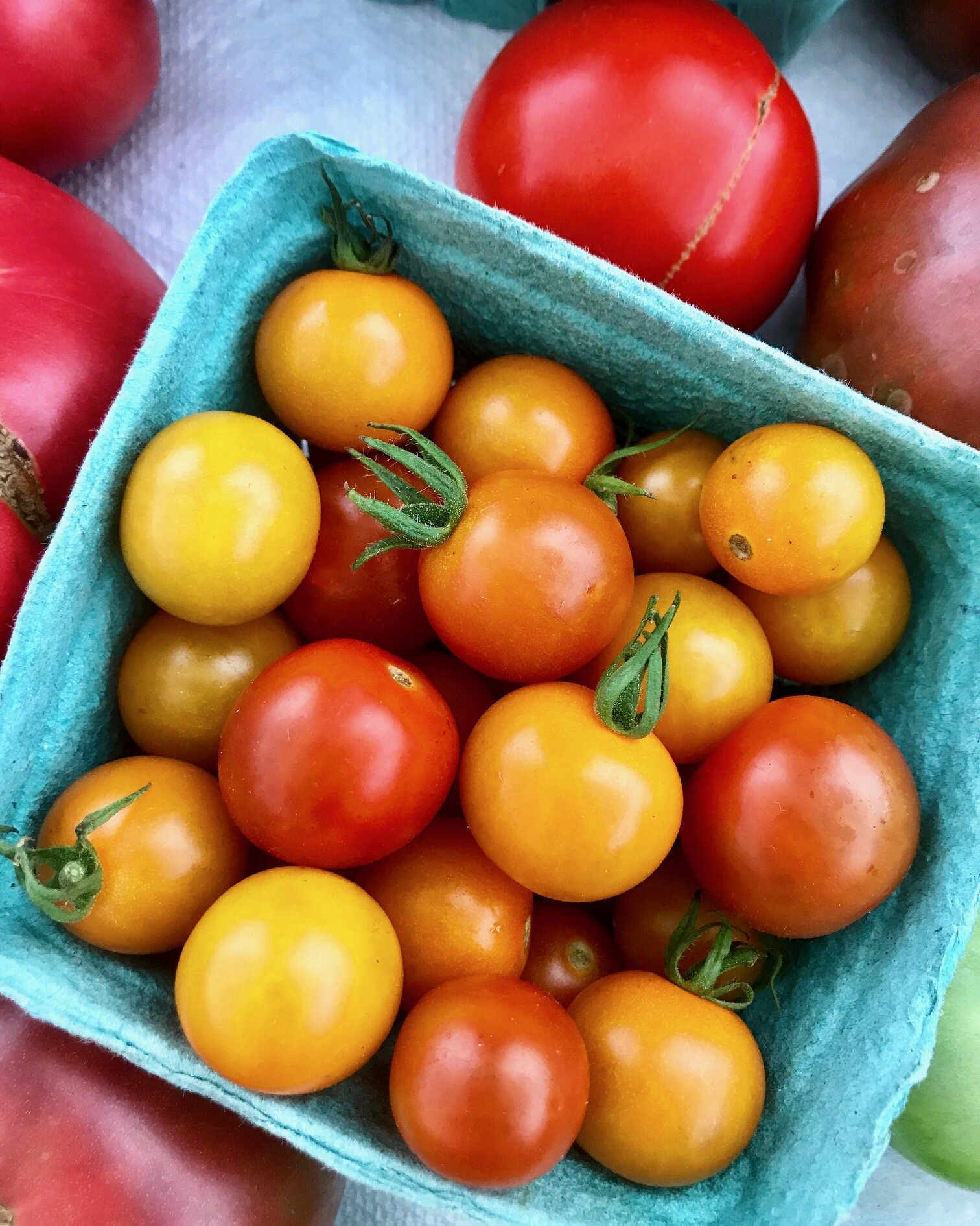 Wednesday, August 5 // Tomato Bounty