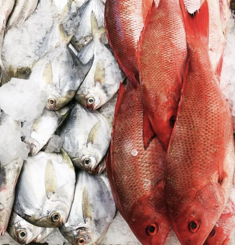 Wednesday, August 12 // SEAFOOD IS COMING TO COBBLESTONE!