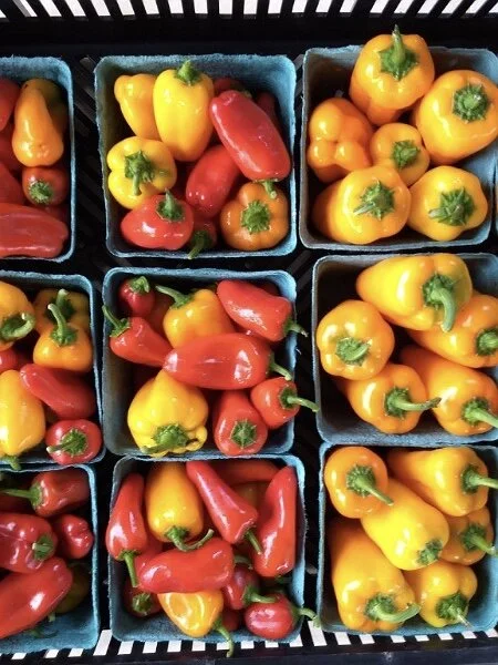 Saturday, August 15 // Did You Hear?