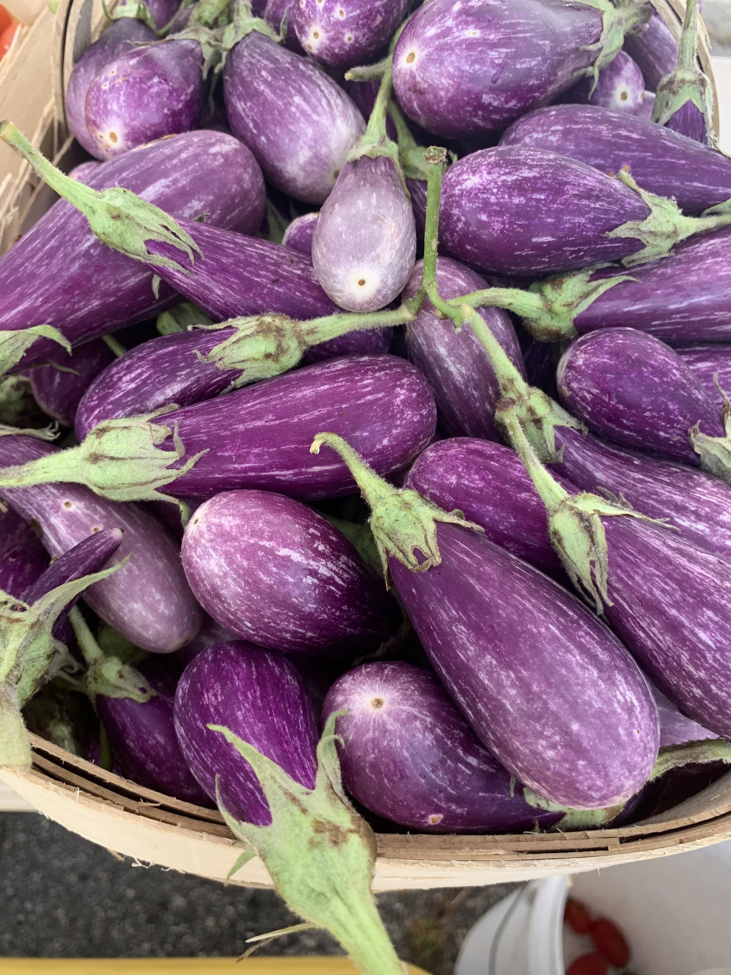 Wednesday, August 26 // Easy Meals