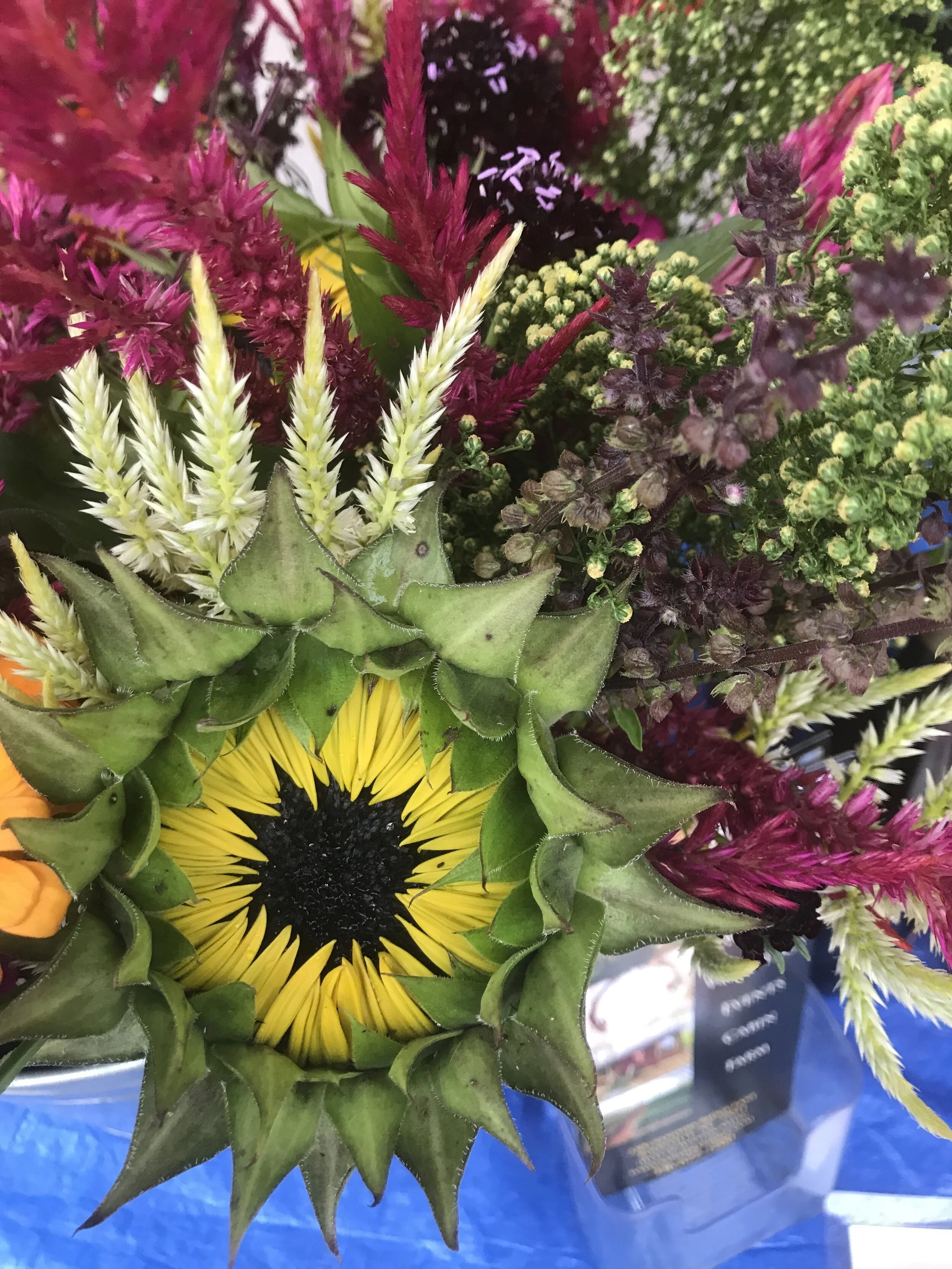 Wednesday, September 2 // Rockin' Ready