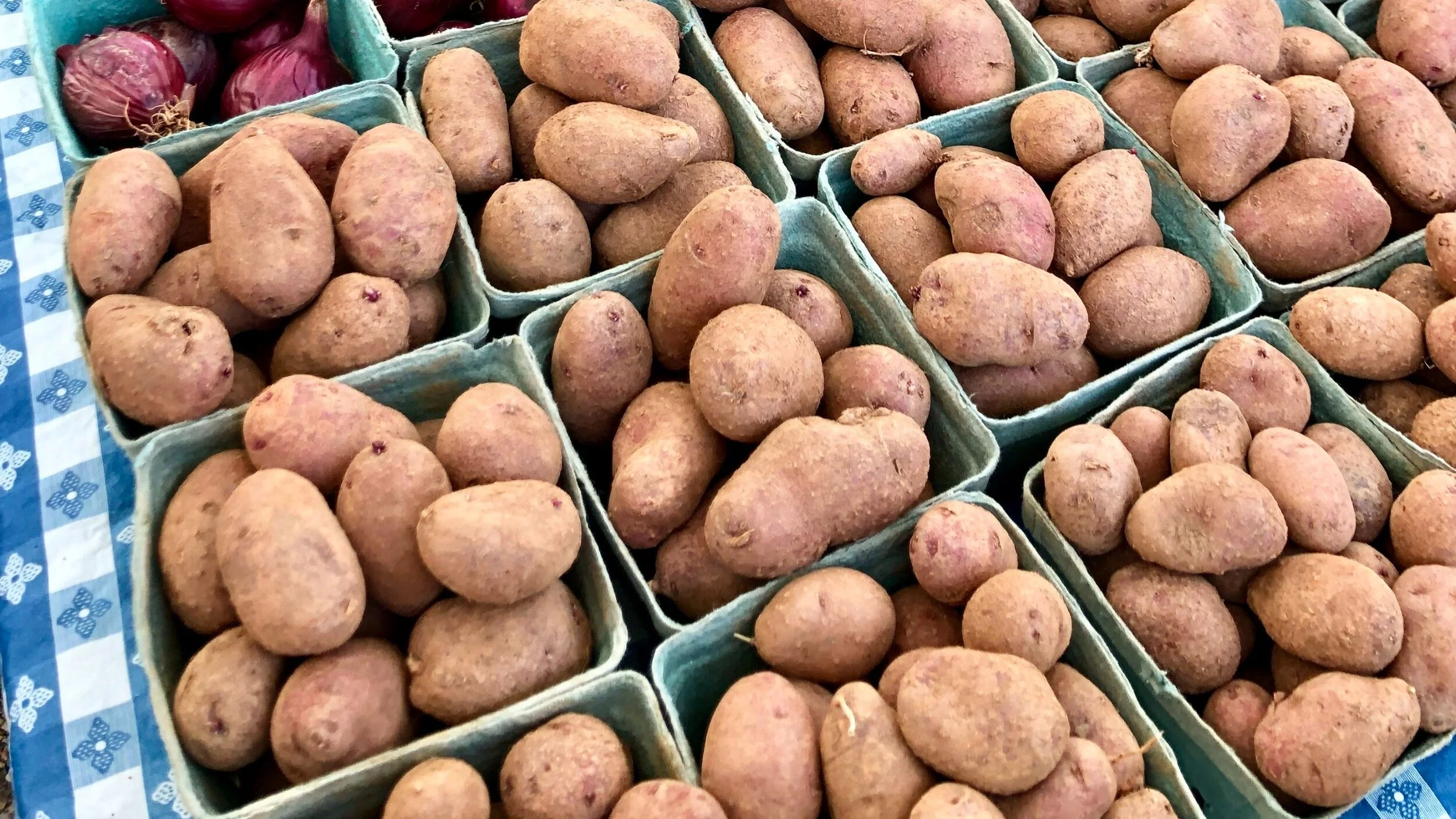 Wednesday, September 30 // Storage Tips