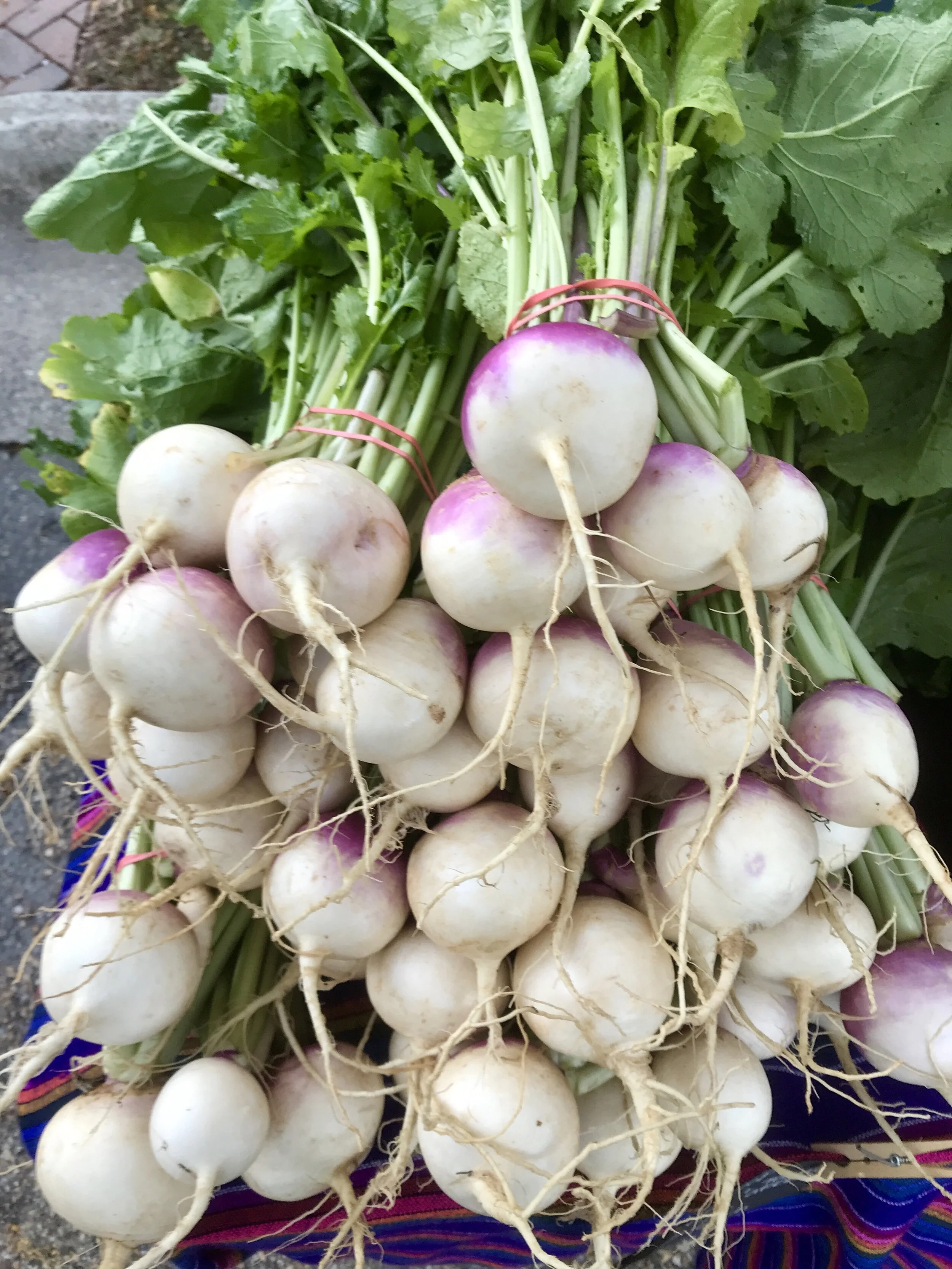 Wednesday, October 7 // Chowder &amp; Hash