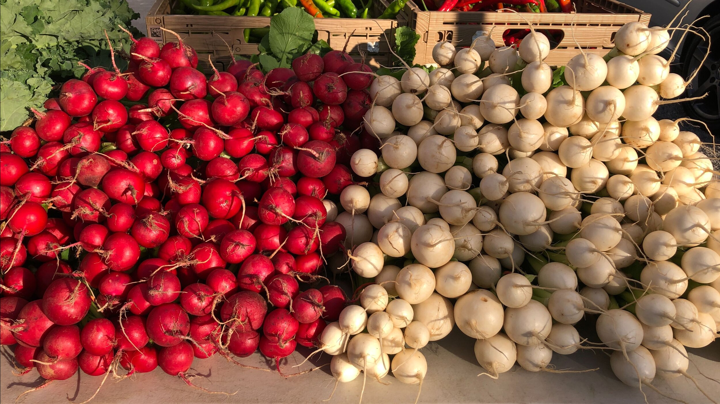 Wednesday, November 4 // Treat Yourself