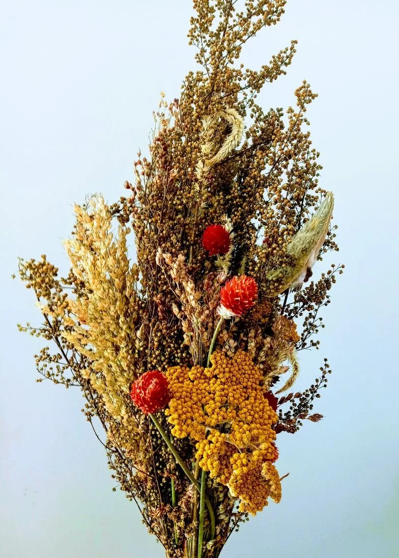 Wednesday, November 11 // Recipe Plotting