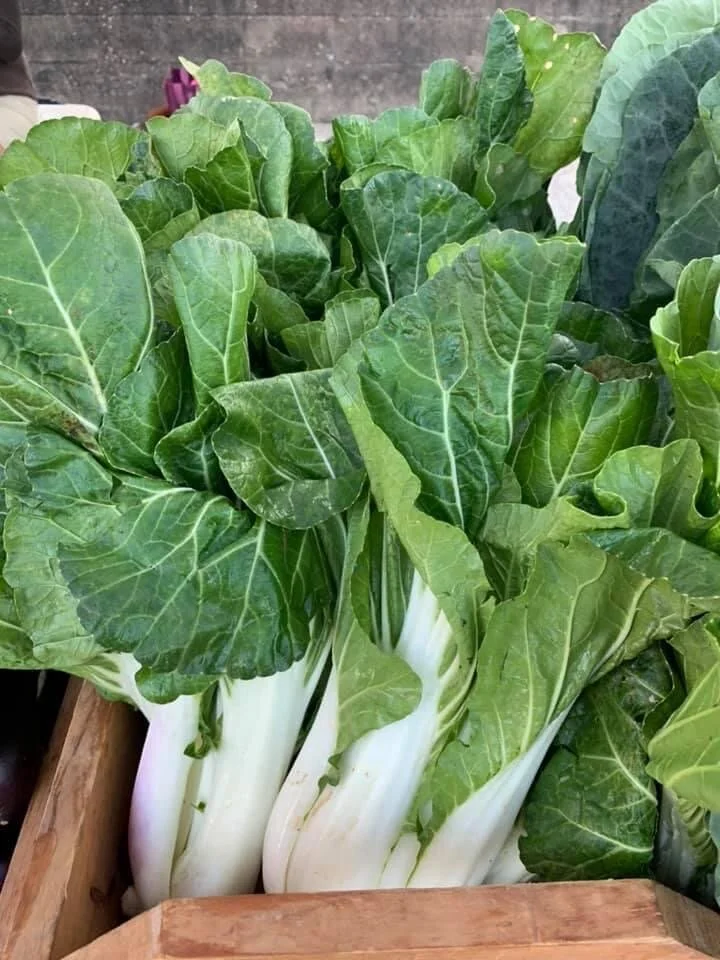 Saturday, November 14 // Greens Galore!