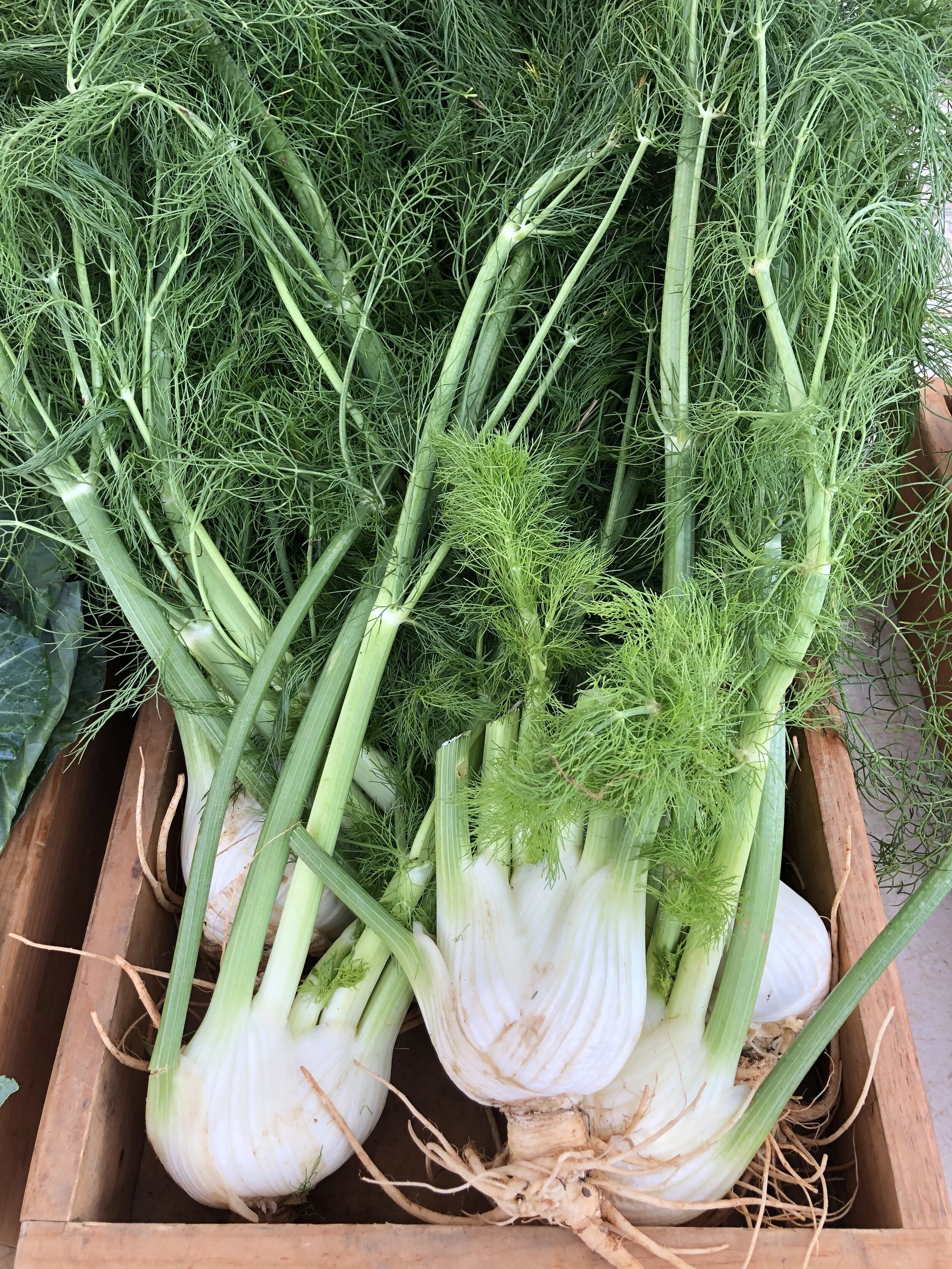 Wednesday, November 18 // FINAL Wednesday Drive-Thru