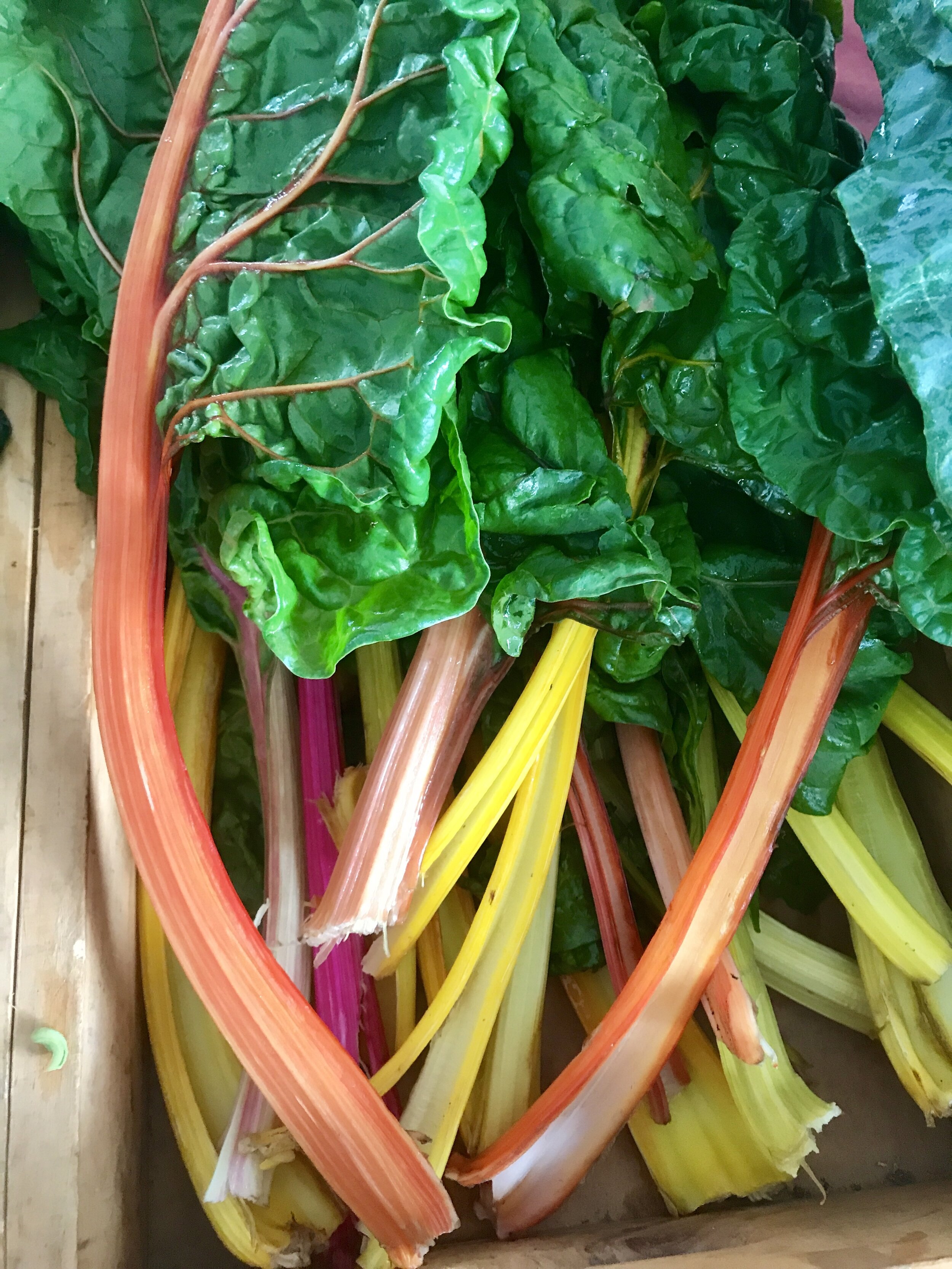 Saturday, December 5 // Winter Market Begins!